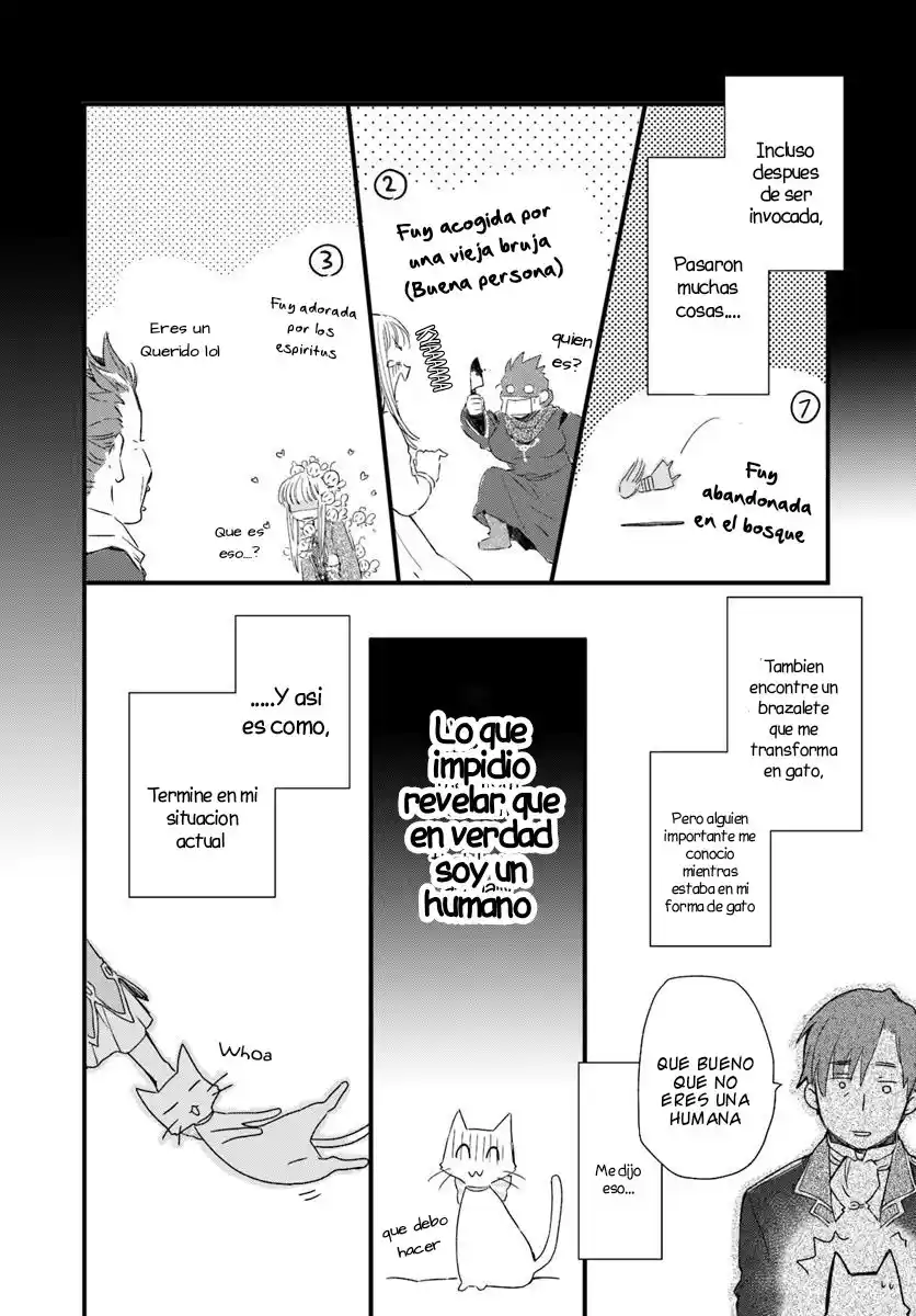 Fukushuu Wo Chikatta Shironeko Wa Ryuuou No Hiza No Ue De Damin Wo Musaboru - Capítulo 17 - Página 5 - LectorTMOo