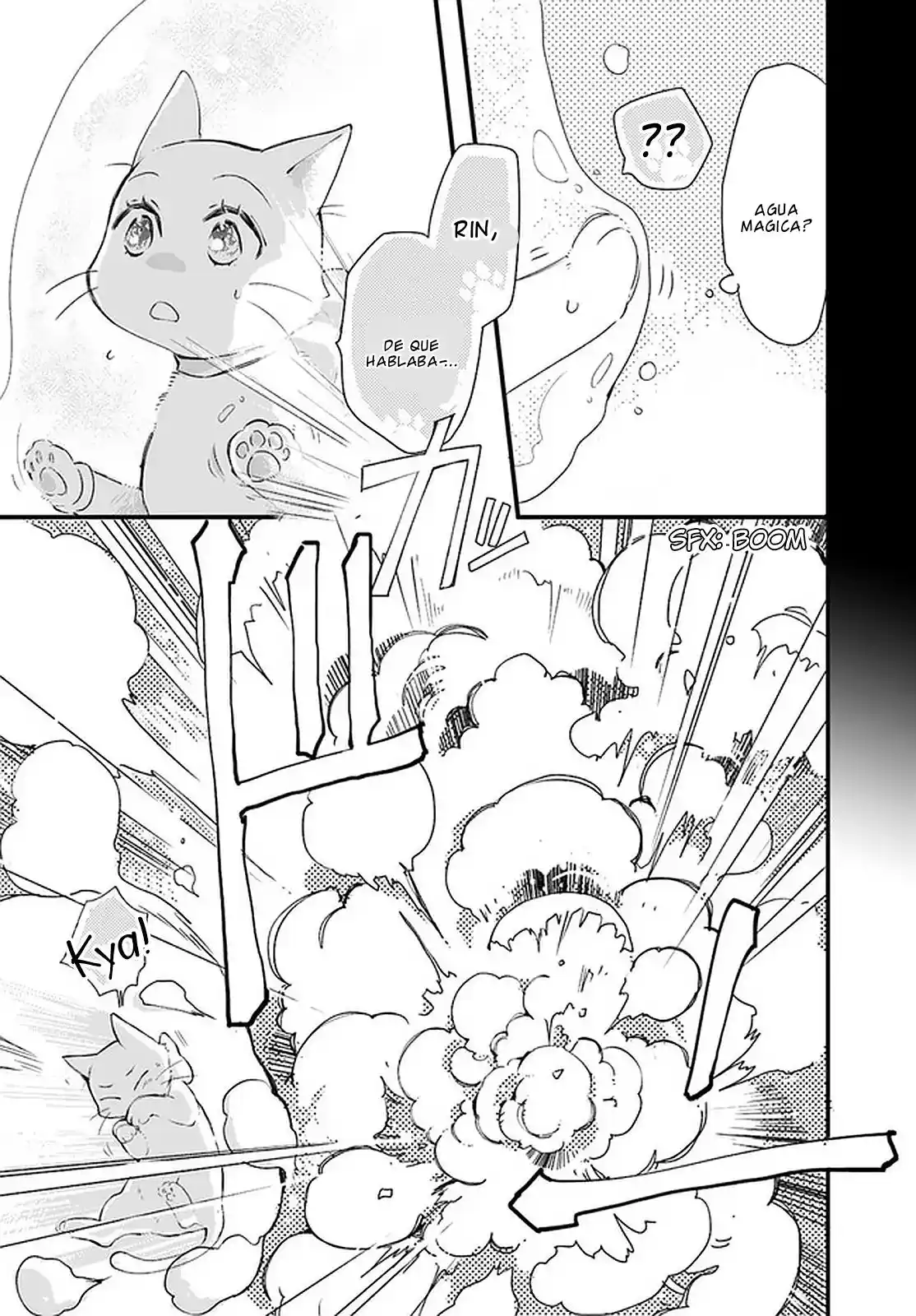 Fukushuu Wo Chikatta Shironeko Wa Ryuuou No Hiza No Ue De Damin Wo Musaboru - Capítulo 18 - Página 28 - LectorTMOo