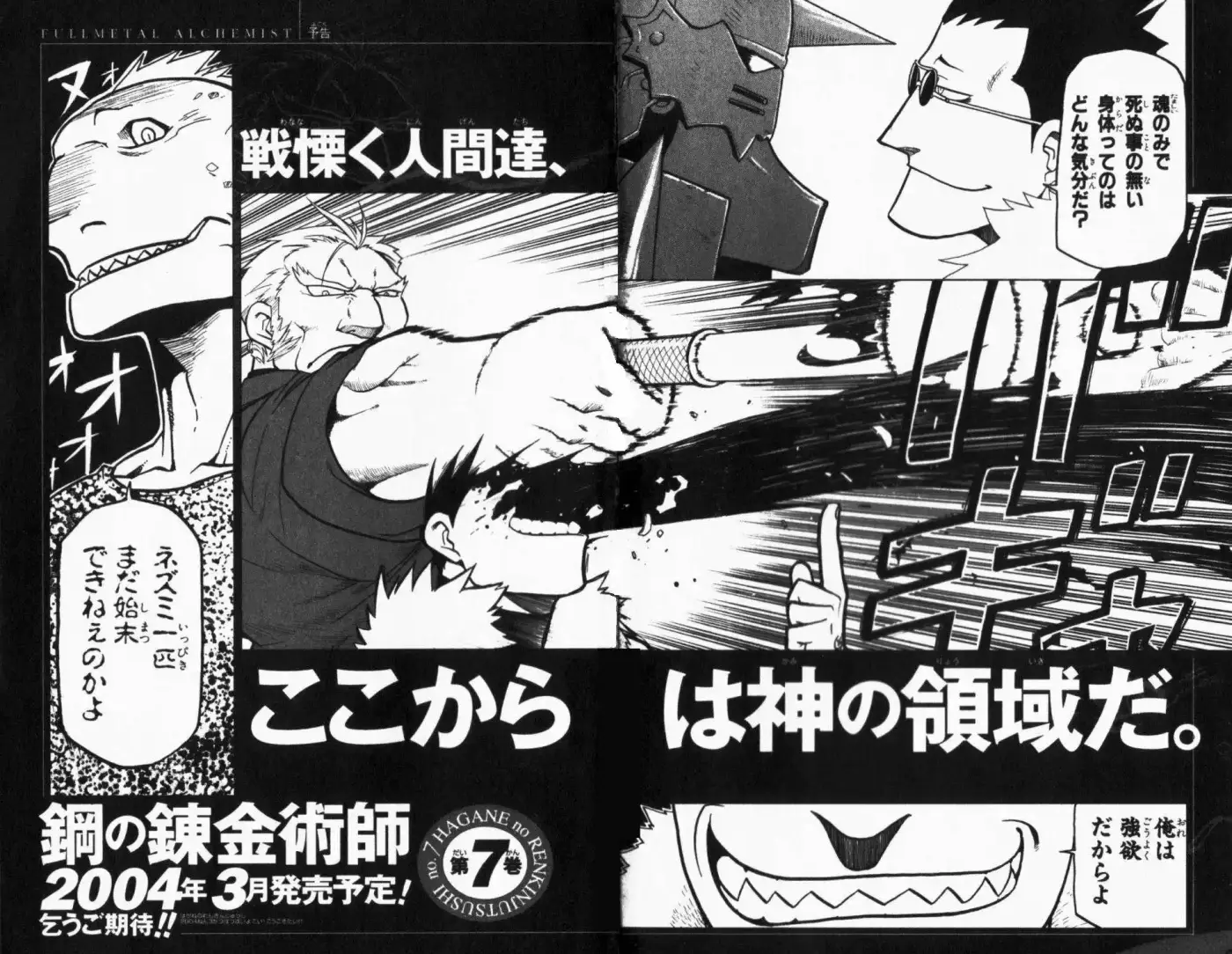 Fullmetal Alchemist - Capítulo 25 - Página 46 - LectorTMOo