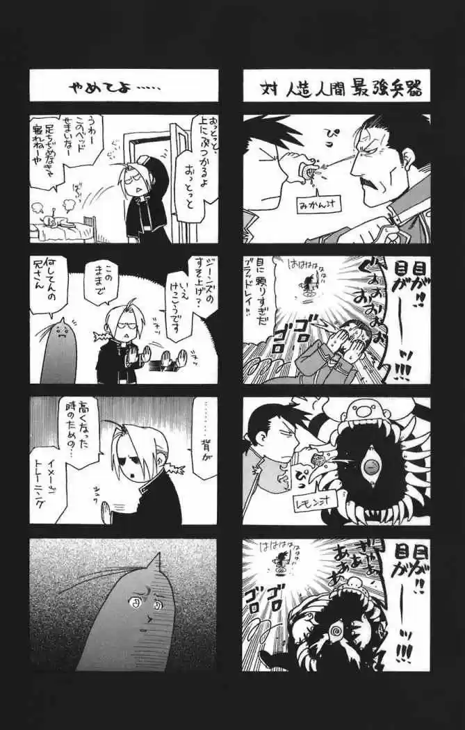 Fullmetal Alchemist - Capítulo 49 - Página 41 - LectorTMOo