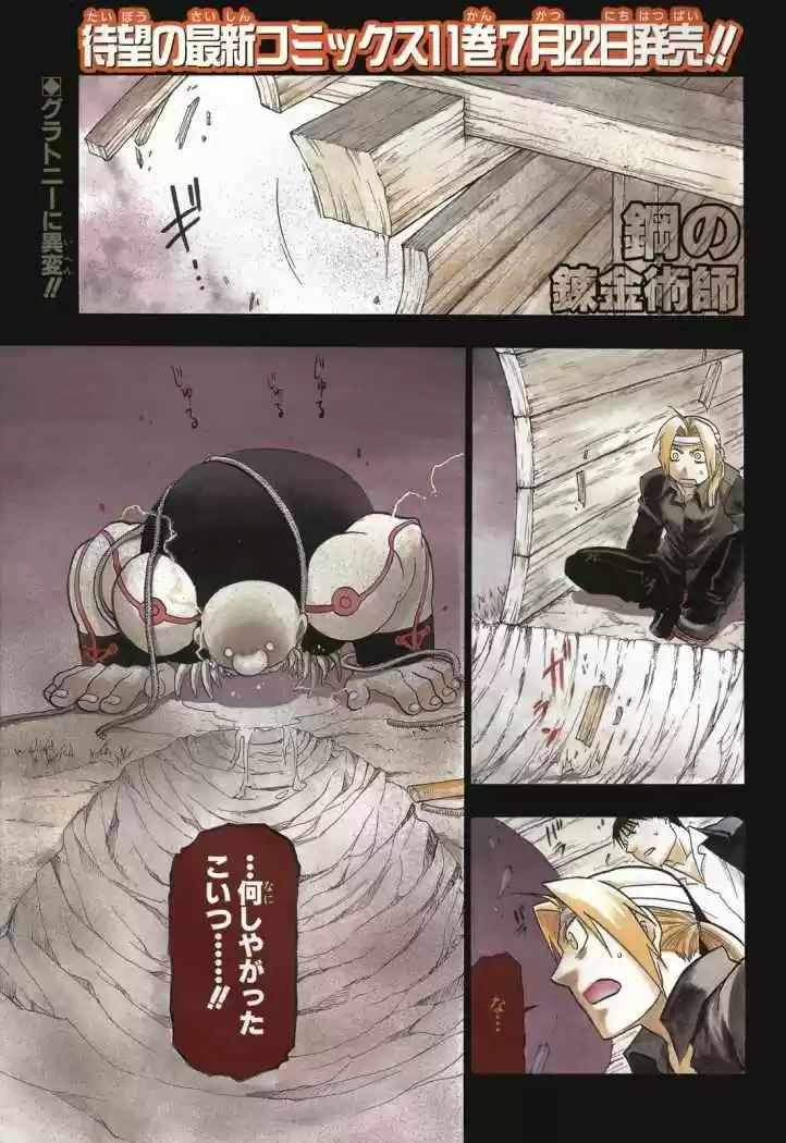 Fullmetal Alchemist - Capítulo 49 - Página 45 - LectorTMOo