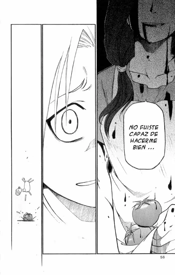 Fullmetal Alchemist - Capítulo 6 - Página 4 - LectorTMOo