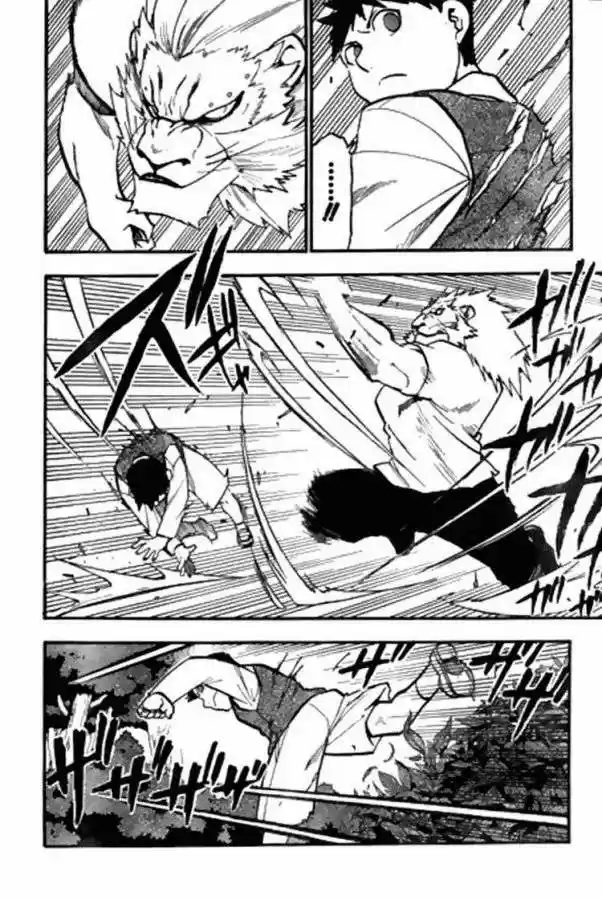 Fullmetal Alchemist - Capítulo 86 - Página 22 - LectorTMOo