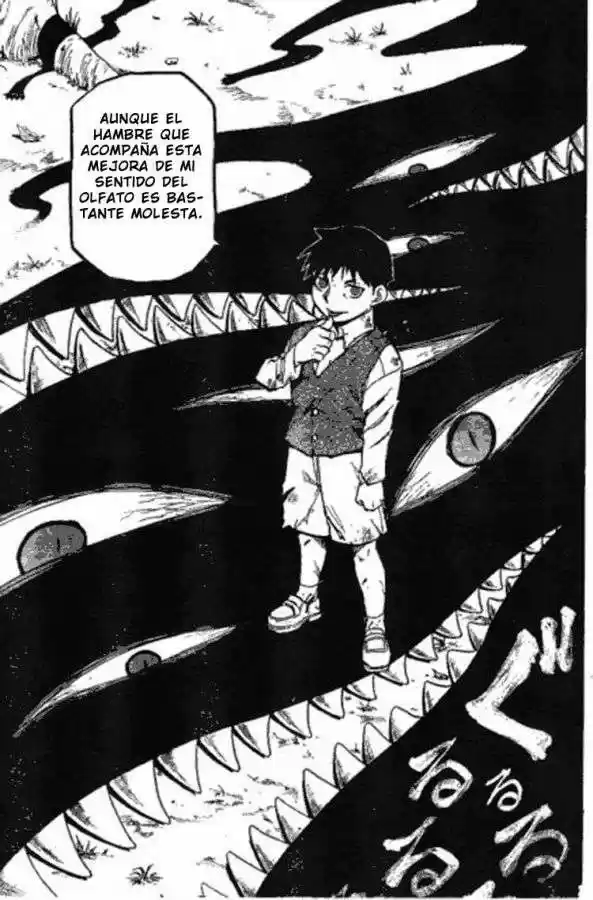 Fullmetal Alchemist - Capítulo 87 - Página 43 - LectorTMOo