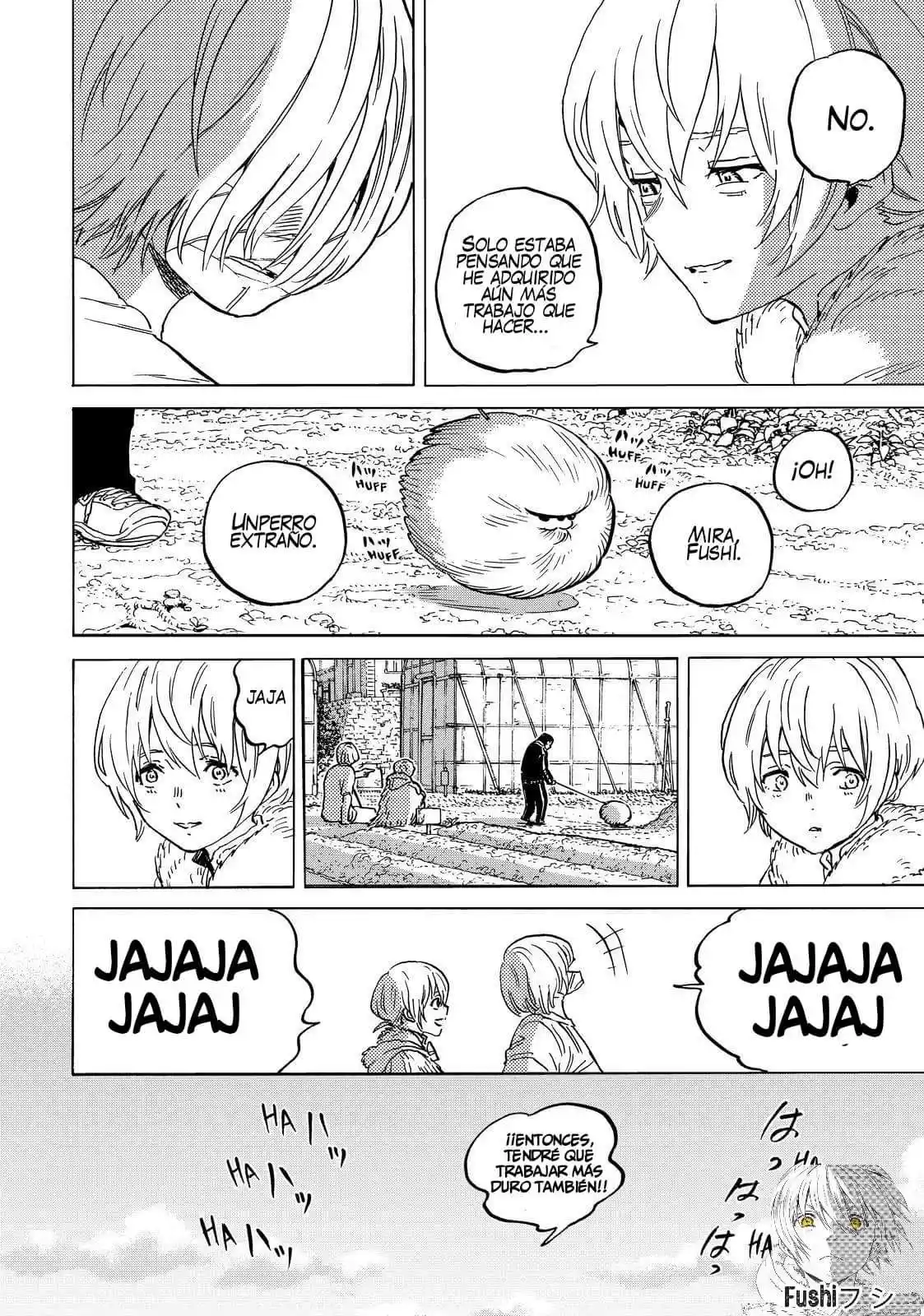 Fumetsu no Anata e - Capítulo 148.8 - Página 13 - LectorTMOo