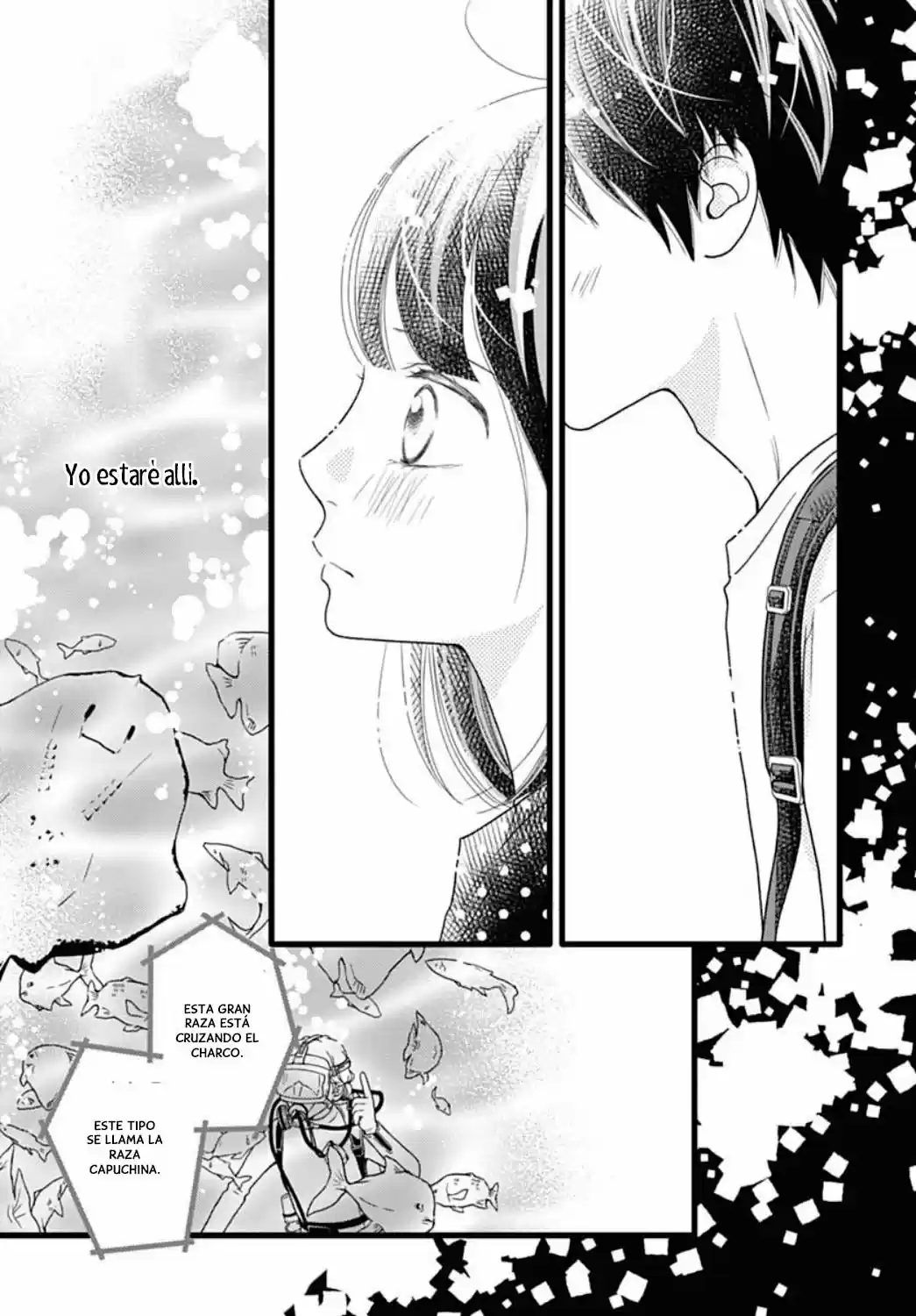 Futsuu No Koiko-chan - Capítulo 53 - Página 14 - LectorTMOo