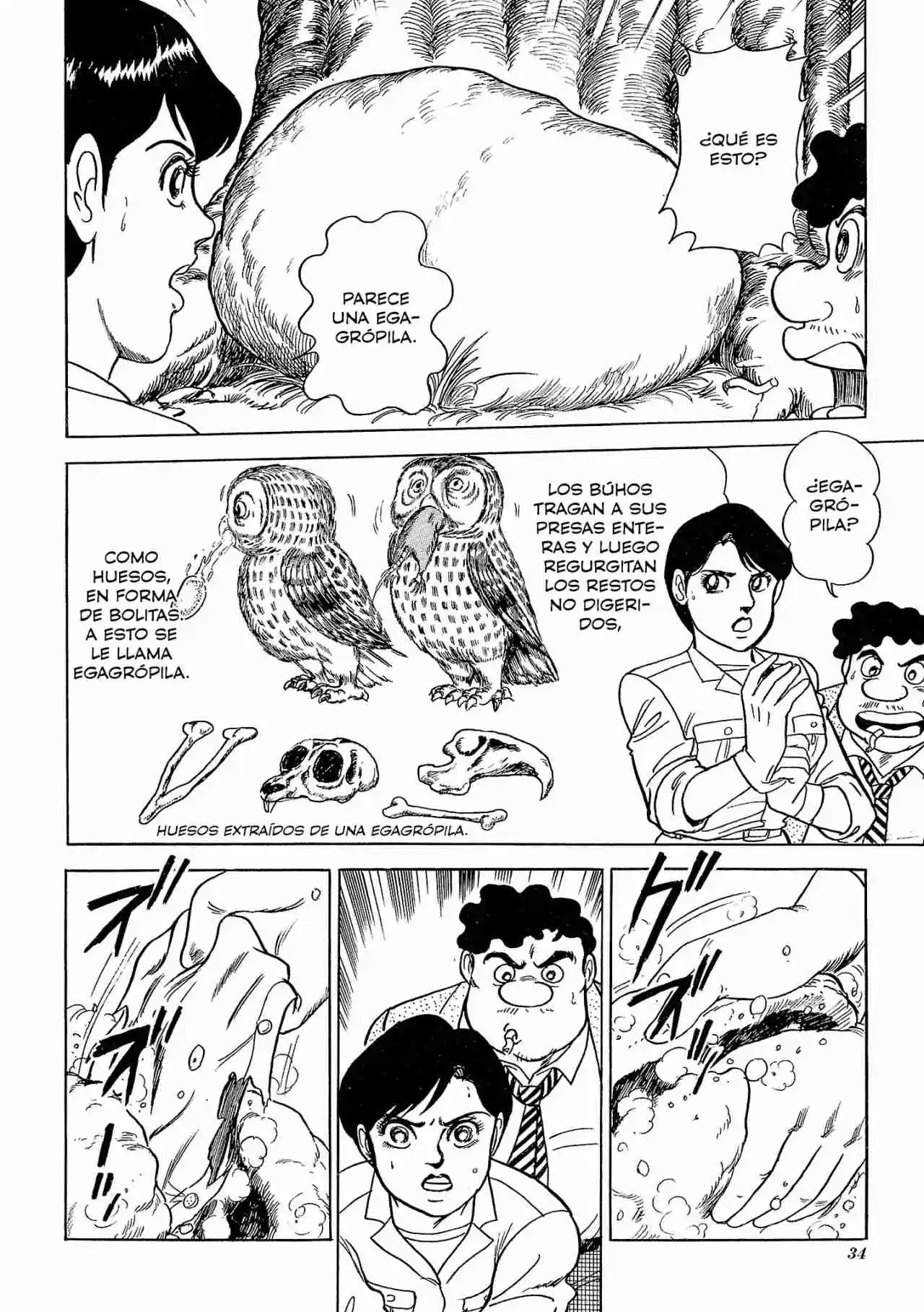 Gamera: El Guardián Del Universo - Capítulo 1 - Página 33 - LectorTMOo
