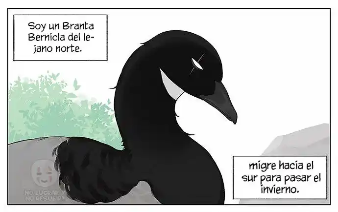 Ganso Y Gorrión - Capítulo 33 - Página 4 - LectorTMOo