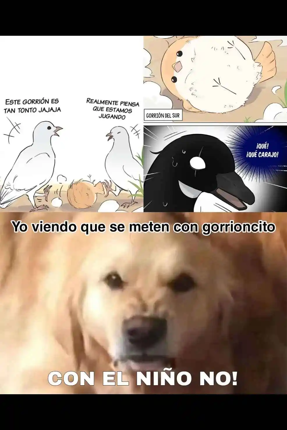 Ganso Y Gorrión - Capítulo 50 - Página 4 - LectorTMOo