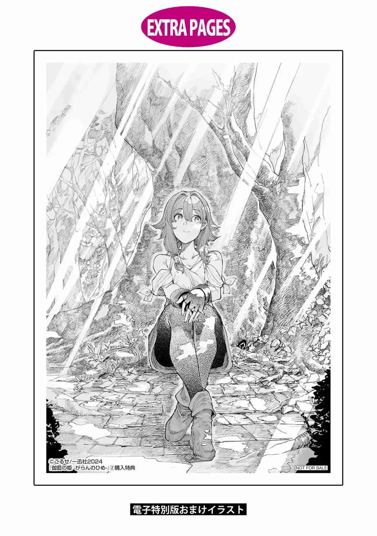 Garan No Hime - Capítulo 13.5 - Página 14 - LectorTMOo