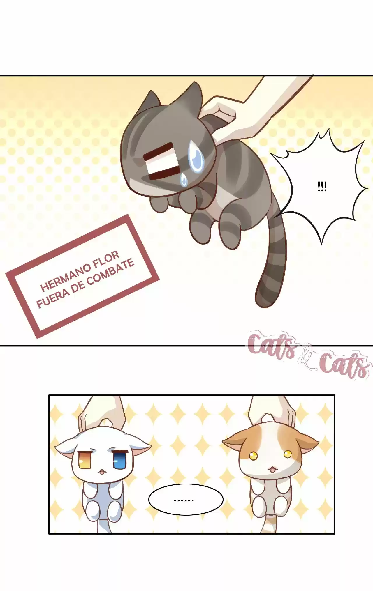 GARRAS DE GATO - Capítulo 1 - Página 33 - LectorTMOo