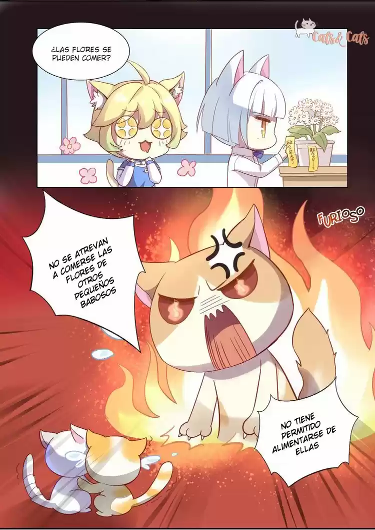 GARRAS DE GATO - Capítulo 2 - Página 32 - LectorTMOo