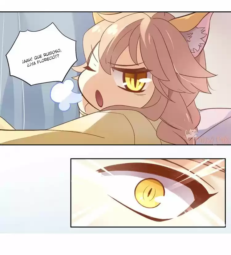 GARRAS DE GATO - Capítulo 2 - Página 49 - LectorTMOo