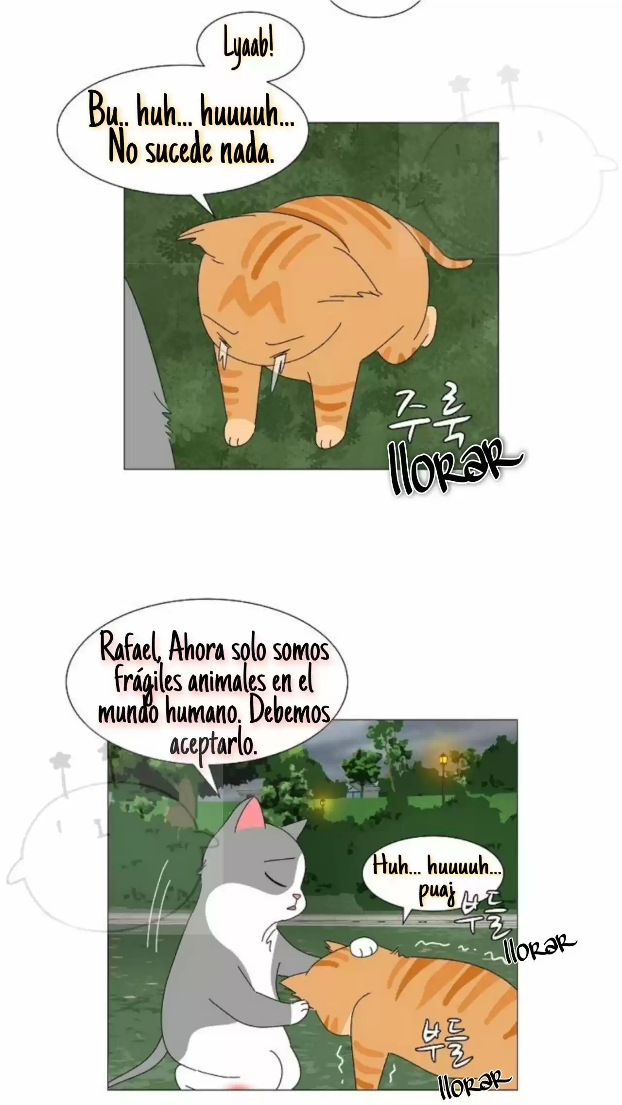 Gatos Del Cielo - Capítulo 1 - Página 12 - LectorTMOo