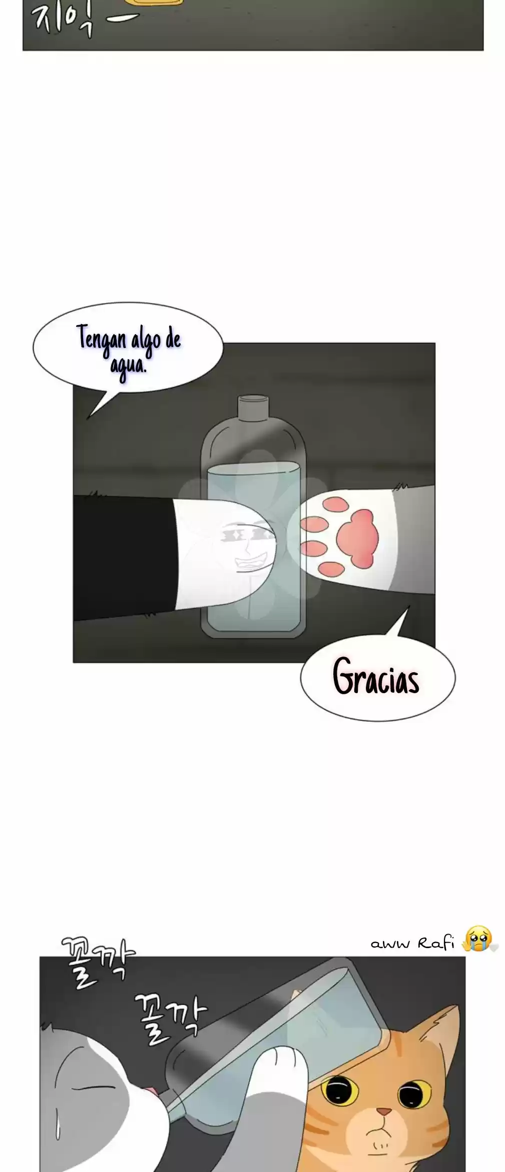 Gatos Del Cielo - Capítulo 10 - Página 22 - LectorTMOo