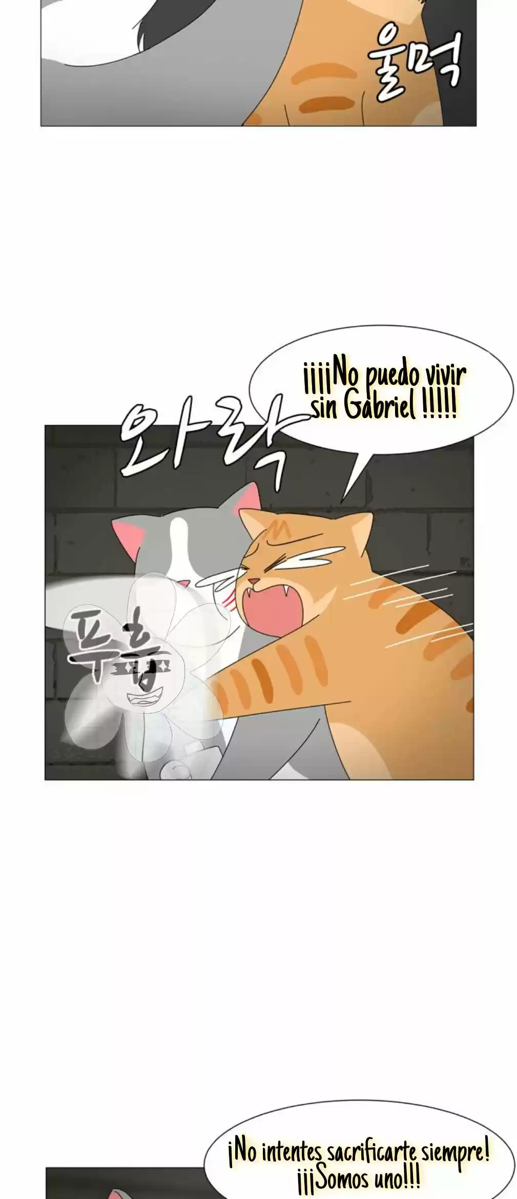 Gatos Del Cielo - Capítulo 10 - Página 23 - LectorTMOo