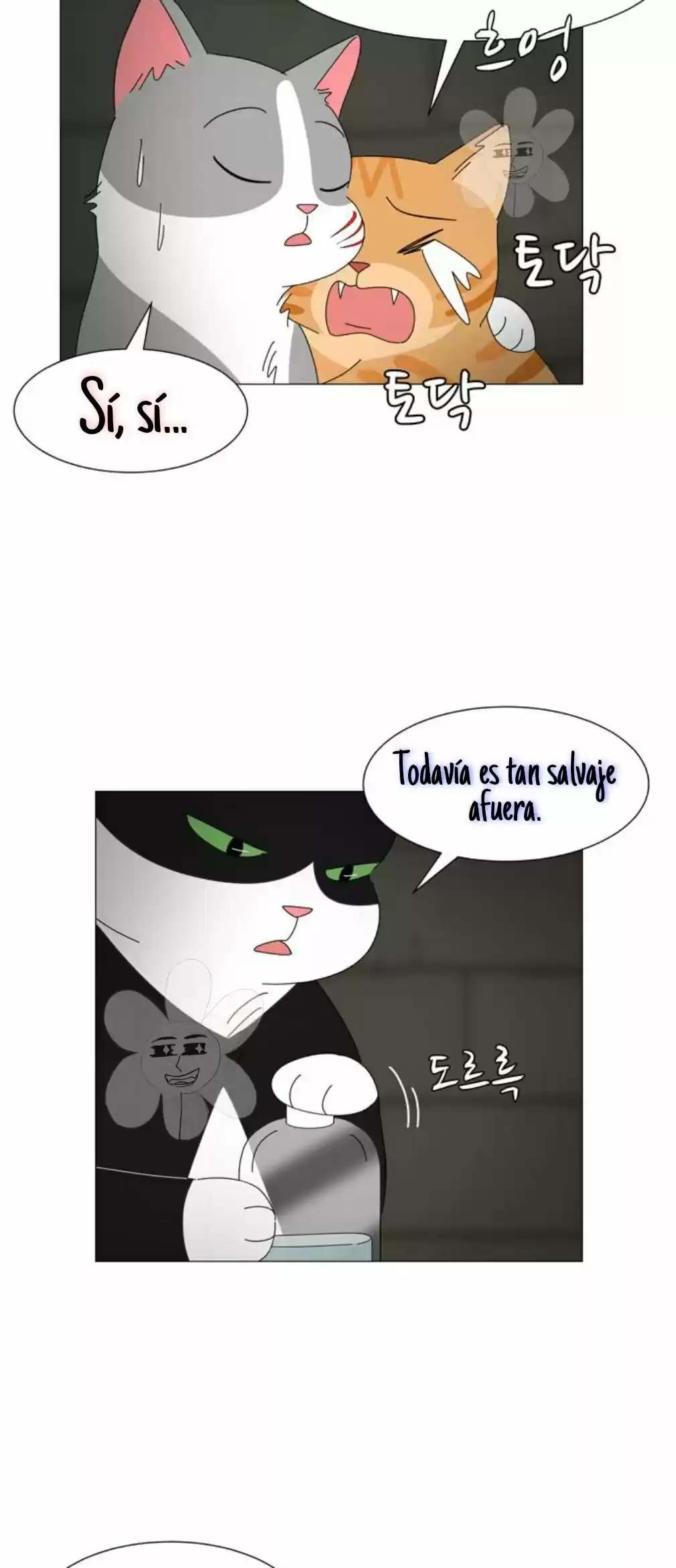 Gatos Del Cielo - Capítulo 10 - Página 24 - LectorTMOo