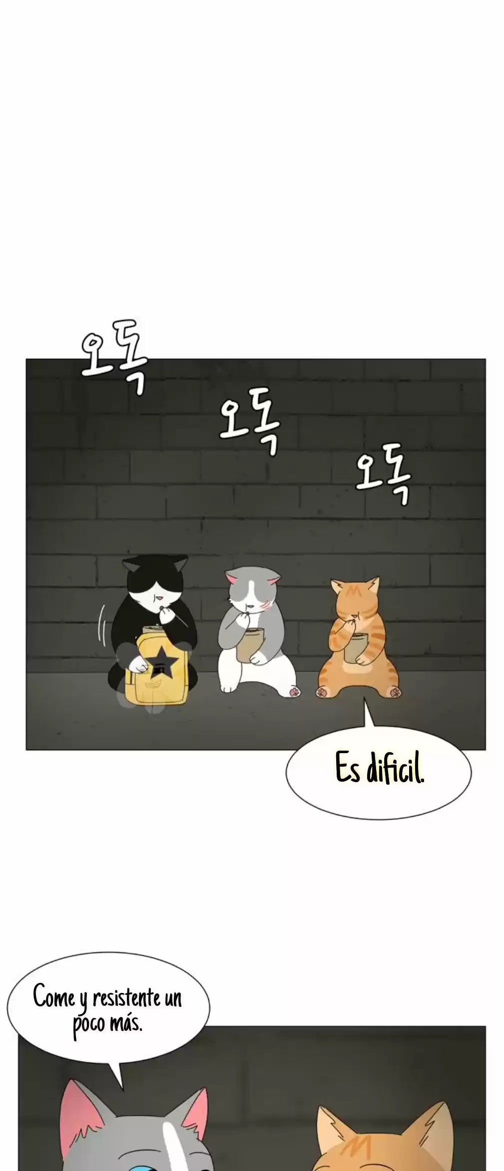 Gatos Del Cielo - Capítulo 11 - Página 3 - LectorTMOo