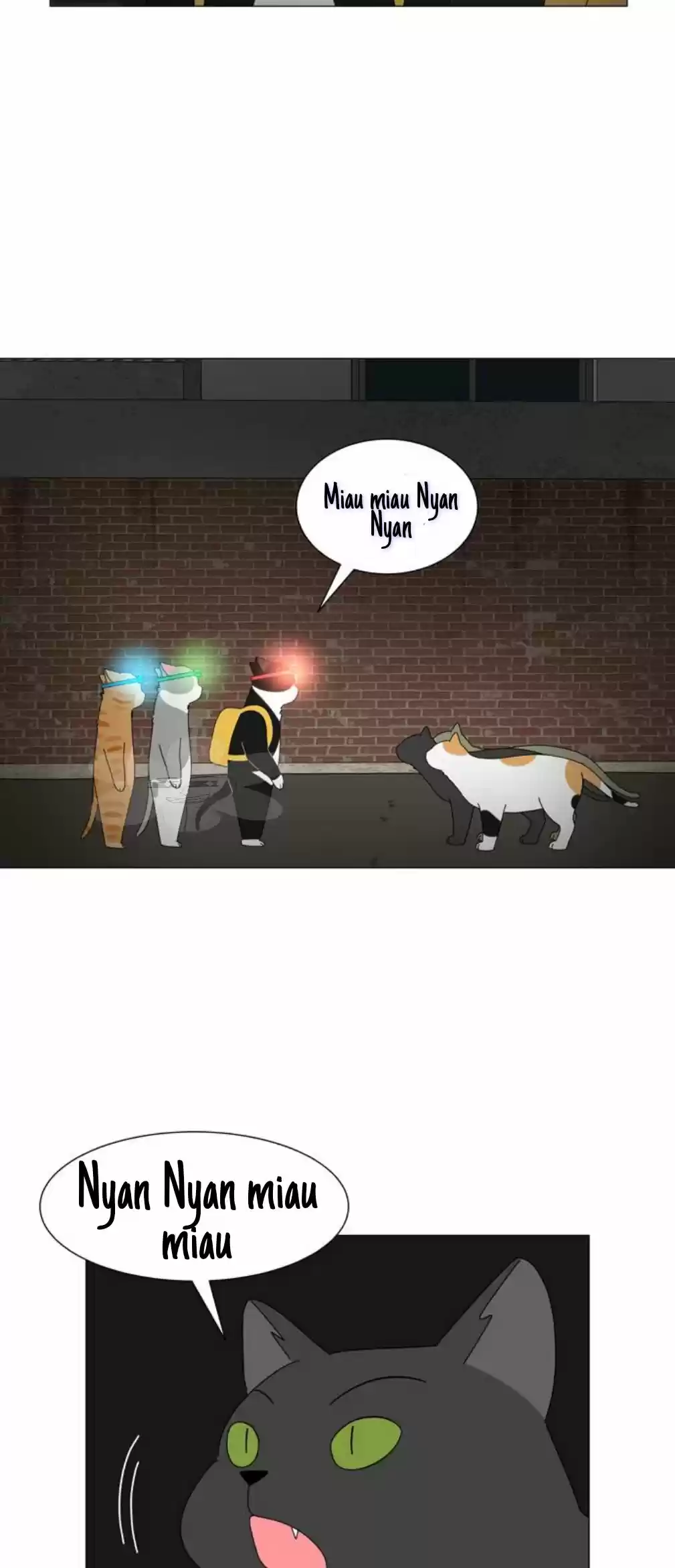 Gatos Del Cielo - Capítulo 11 - Página 14 - LectorTMOo