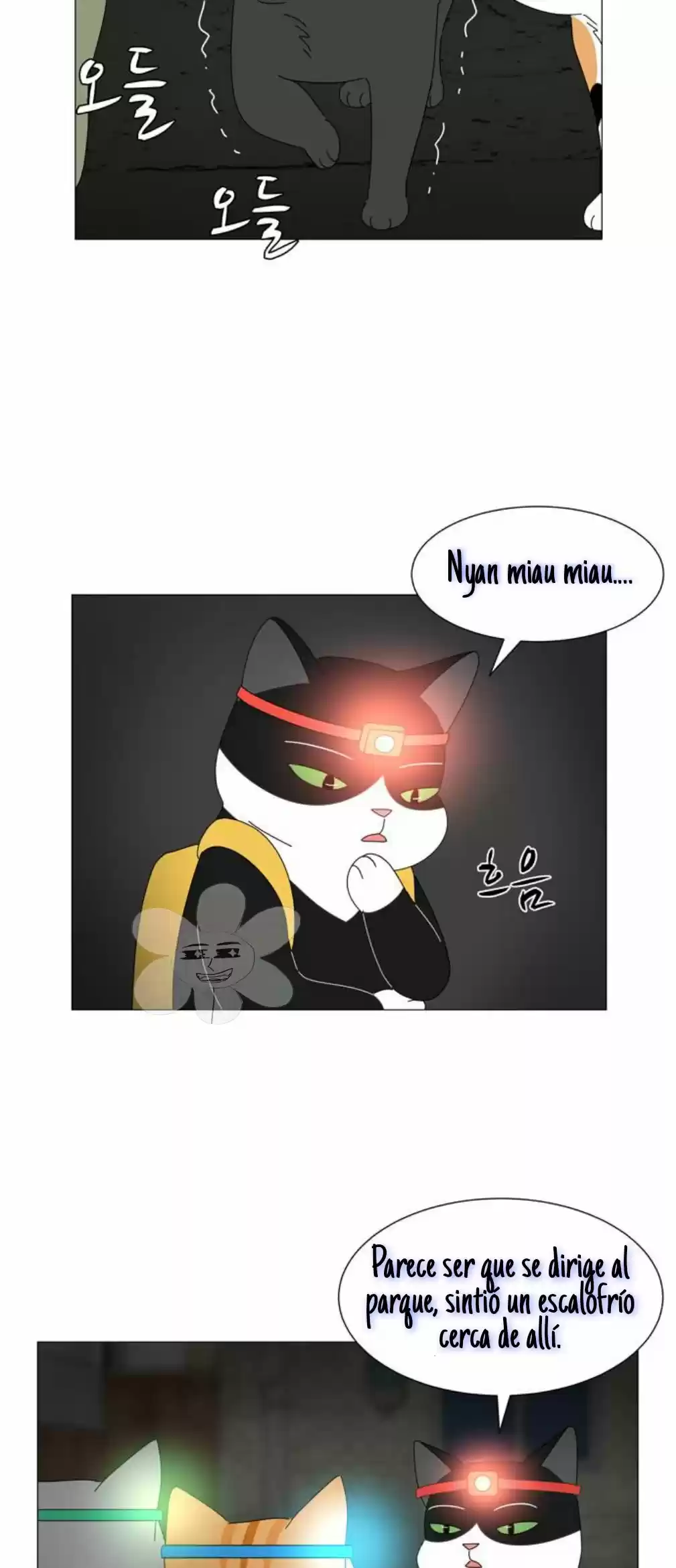 Gatos Del Cielo - Capítulo 11 - Página 16 - LectorTMOo