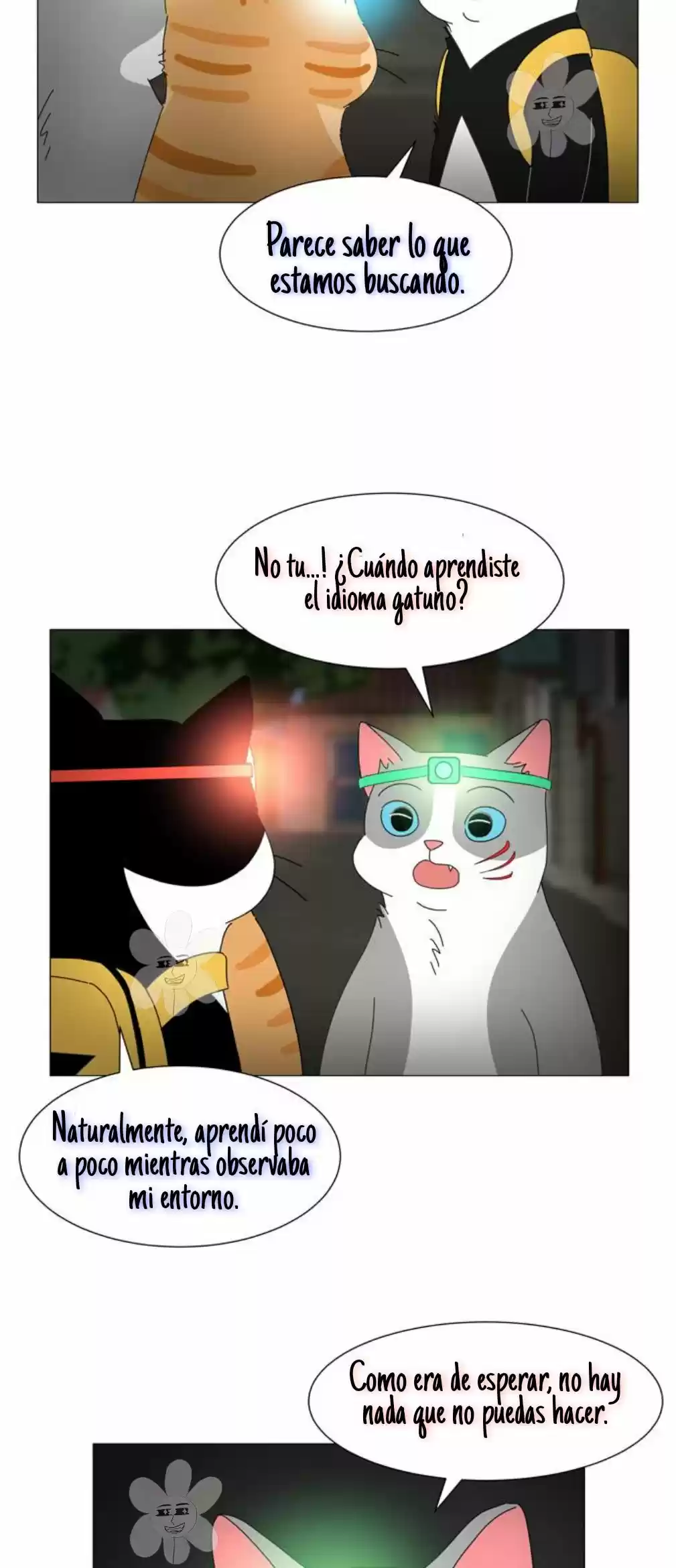 Gatos Del Cielo - Capítulo 11 - Página 17 - LectorTMOo