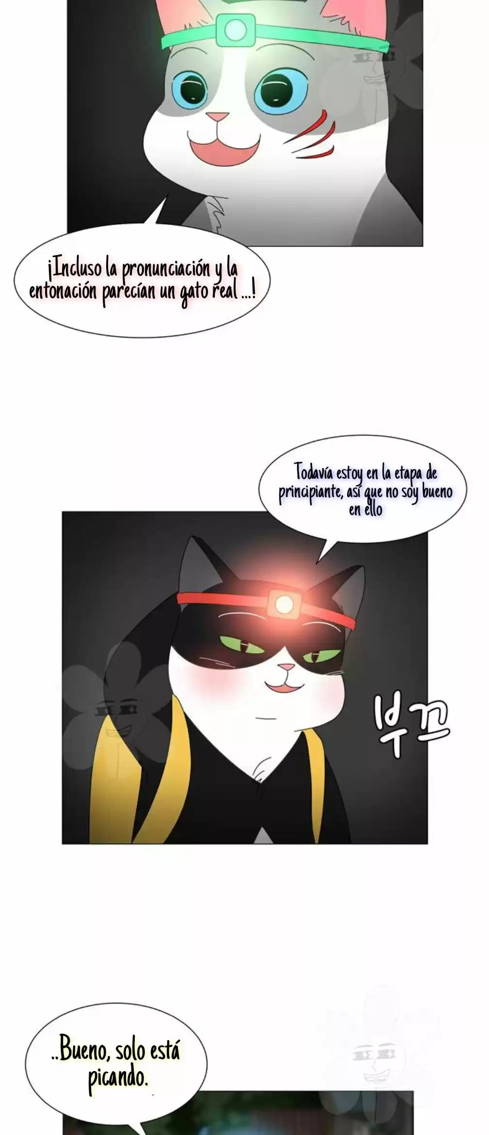 Gatos Del Cielo - Capítulo 11 - Página 18 - LectorTMOo