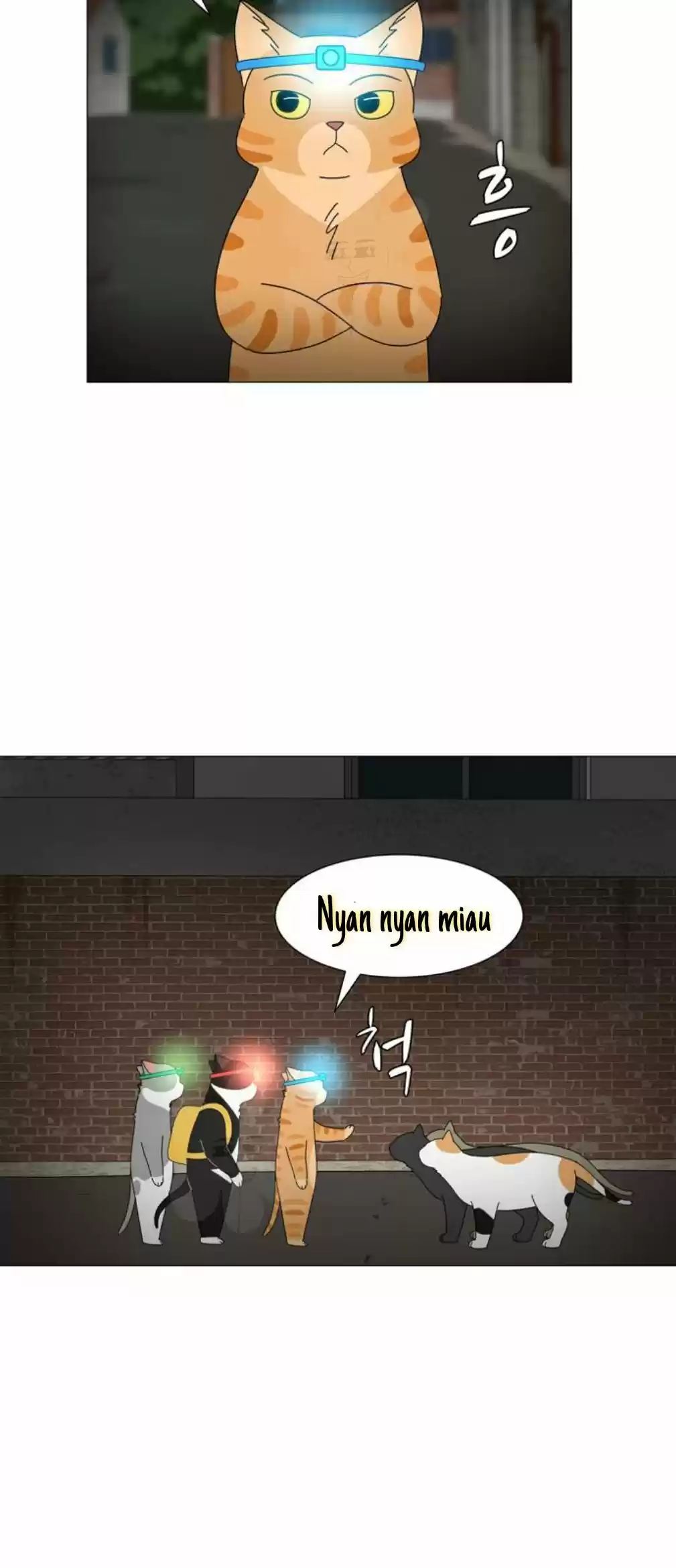 Gatos Del Cielo - Capítulo 11 - Página 19 - LectorTMOo
