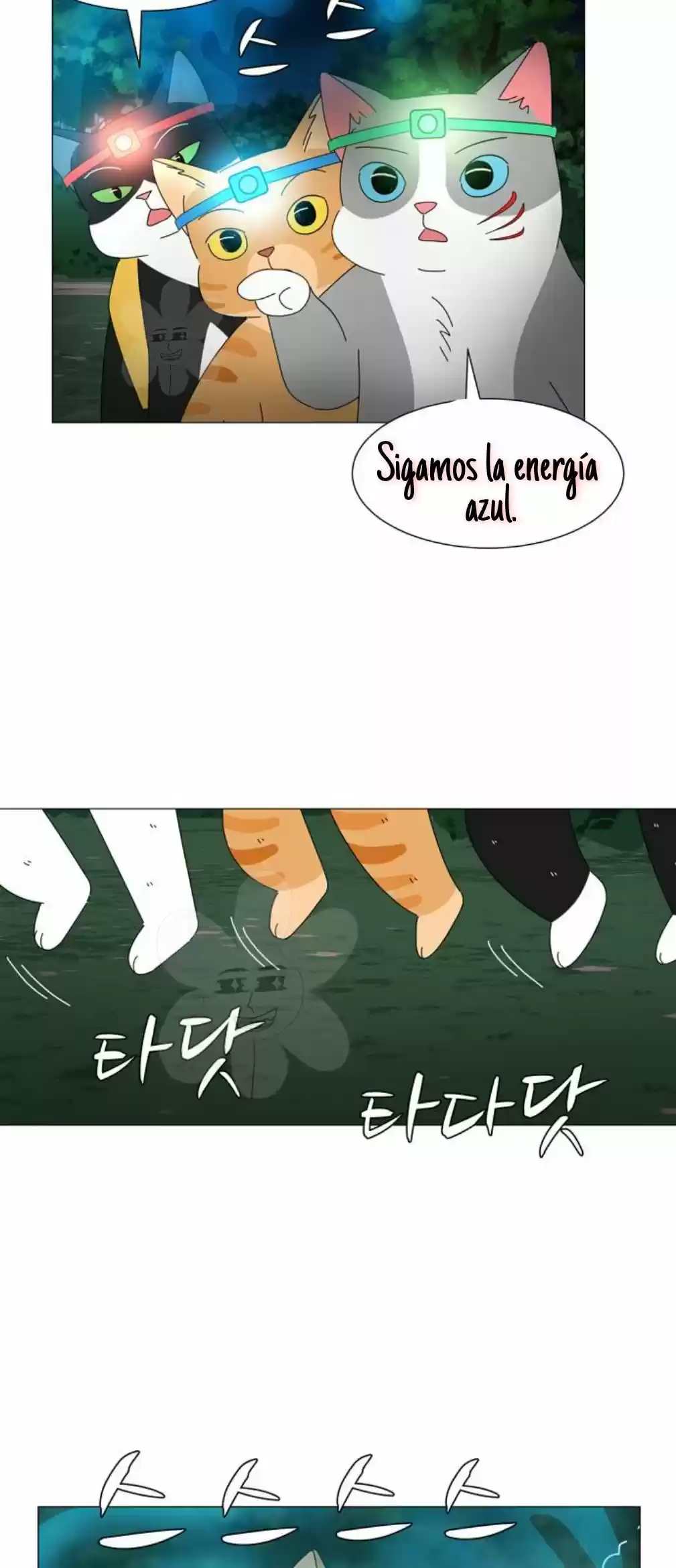 Gatos Del Cielo - Capítulo 11 - Página 22 - LectorTMOo