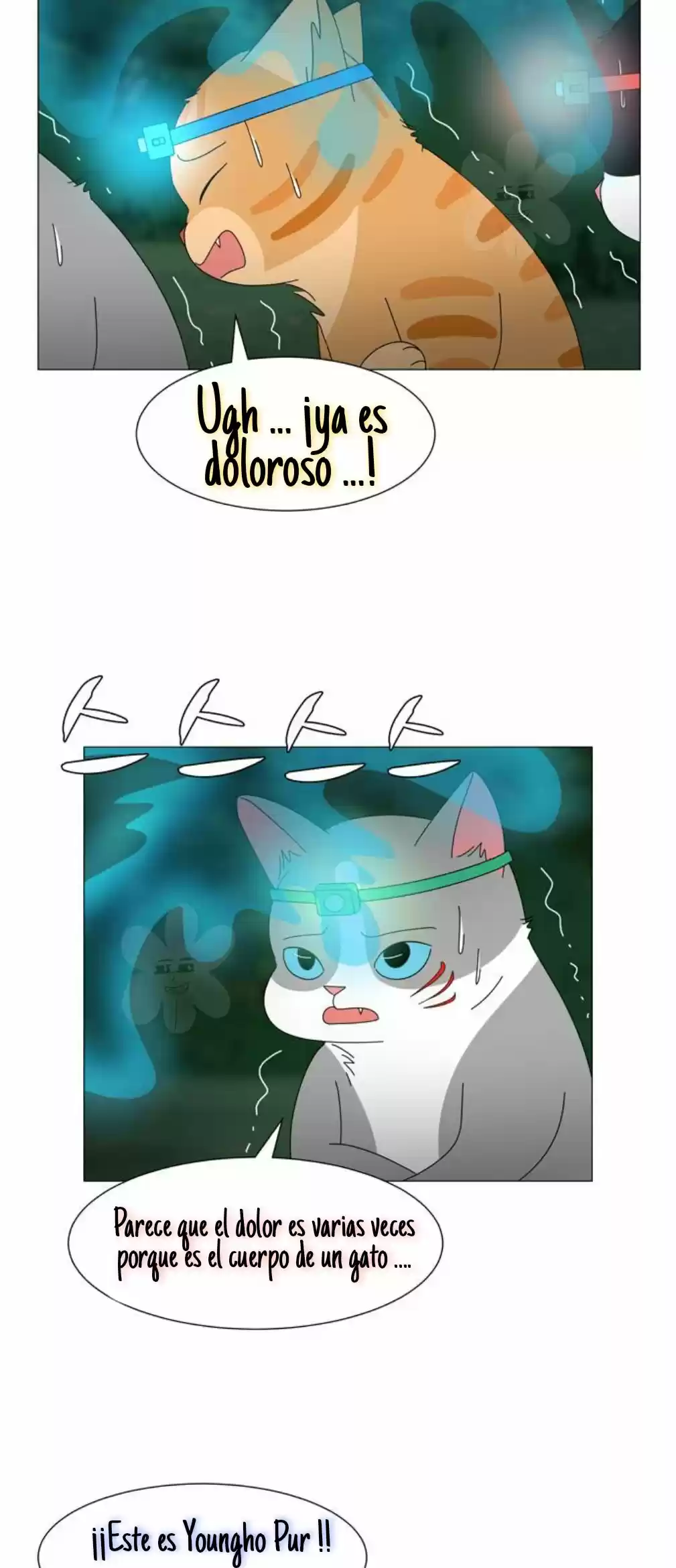 Gatos Del Cielo - Capítulo 11 - Página 23 - LectorTMOo