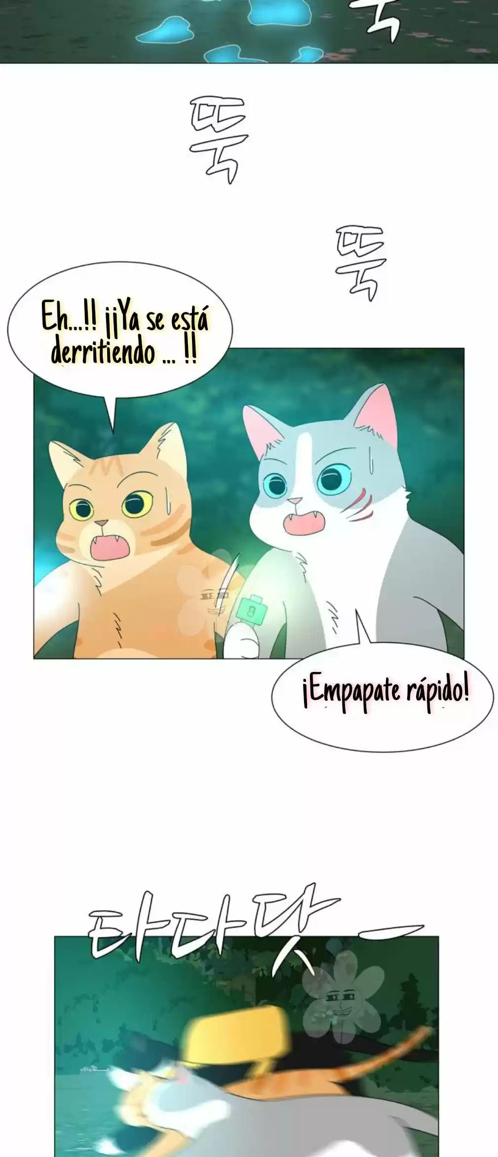 Gatos Del Cielo - Capítulo 11 - Página 25 - LectorTMOo
