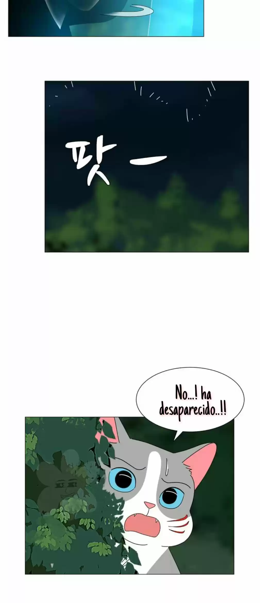 Gatos Del Cielo - Capítulo 11 - Página 35 - LectorTMOo