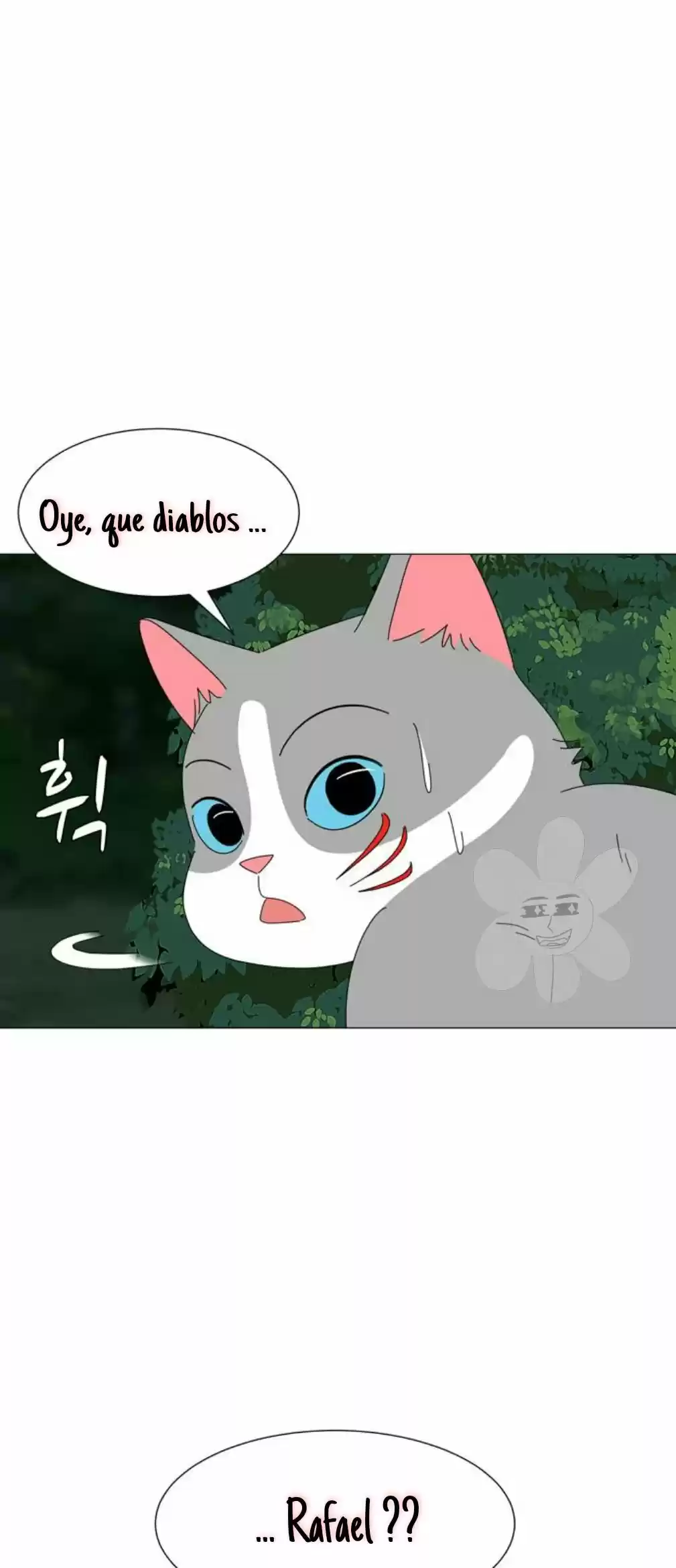 Gatos Del Cielo - Capítulo 12 - Página 2 - LectorTMOo