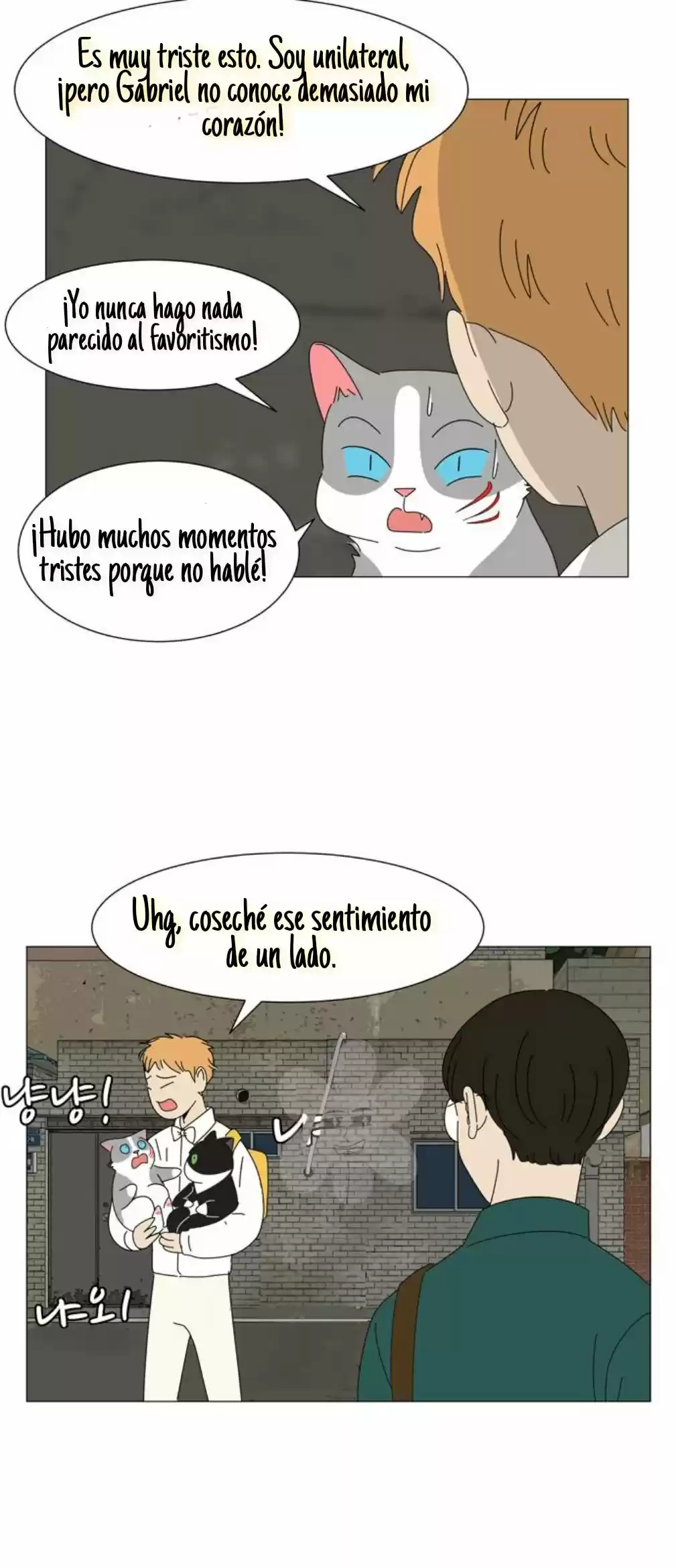 Gatos Del Cielo - Capítulo 12 - Página 13 - LectorTMOo