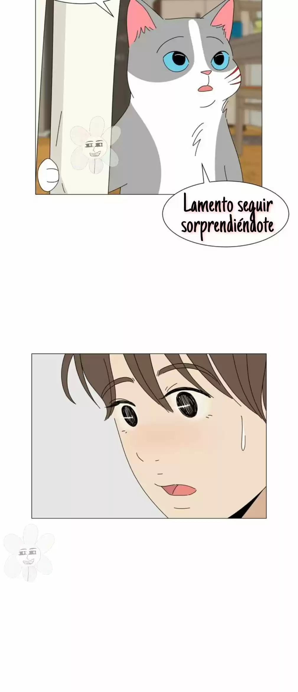 Gatos Del Cielo - Capítulo 12 - Página 24 - LectorTMOo