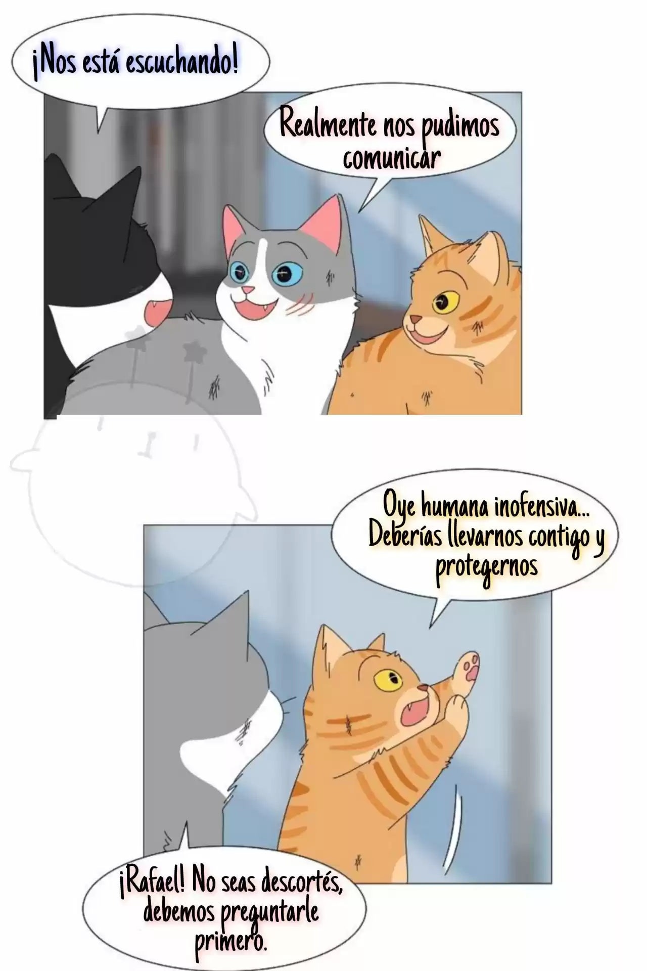 Gatos Del Cielo - Capítulo 2 - Página 5 - LectorTMOo