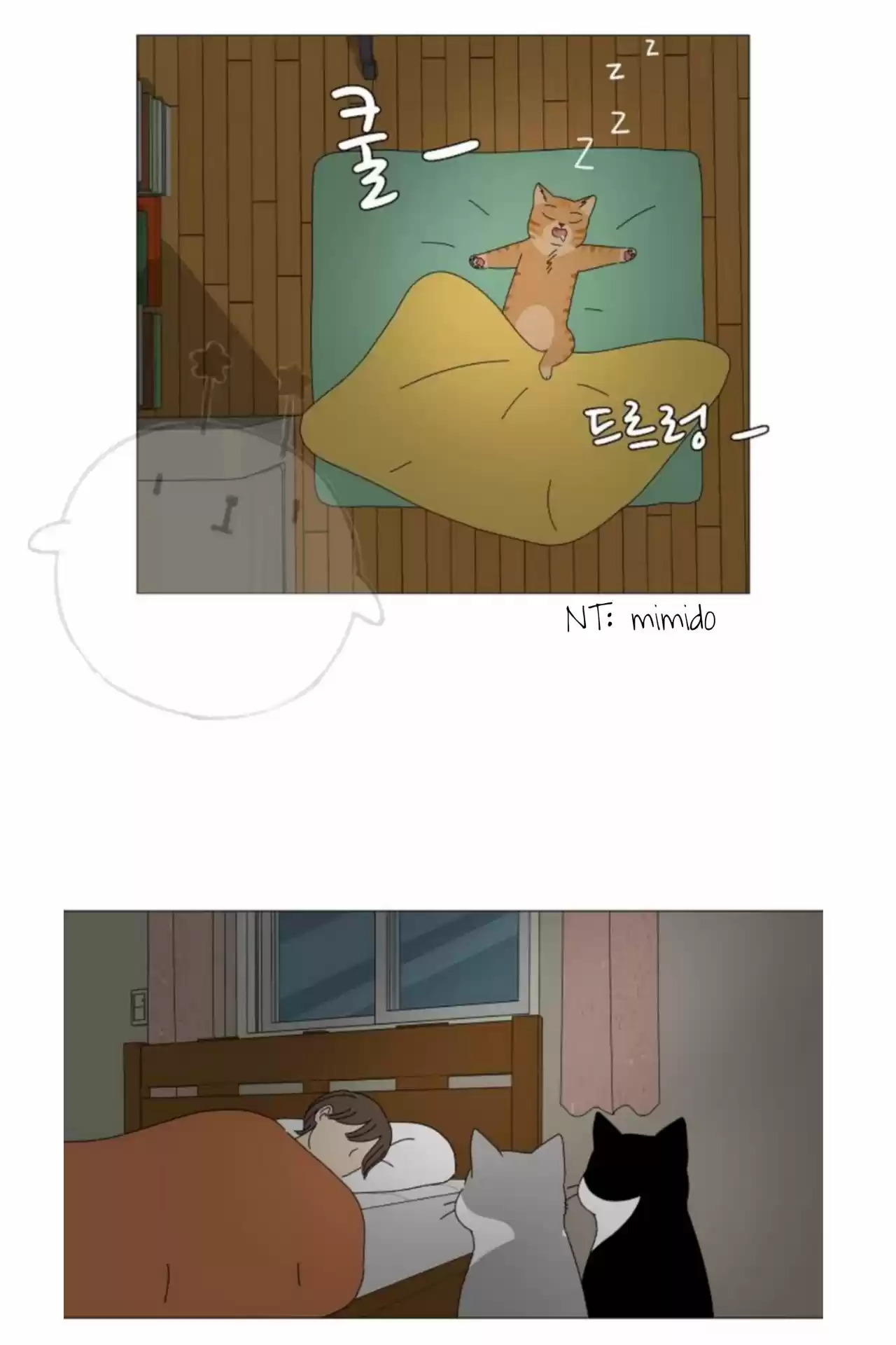 Gatos Del Cielo - Capítulo 2 - Página 21 - LectorTMOo