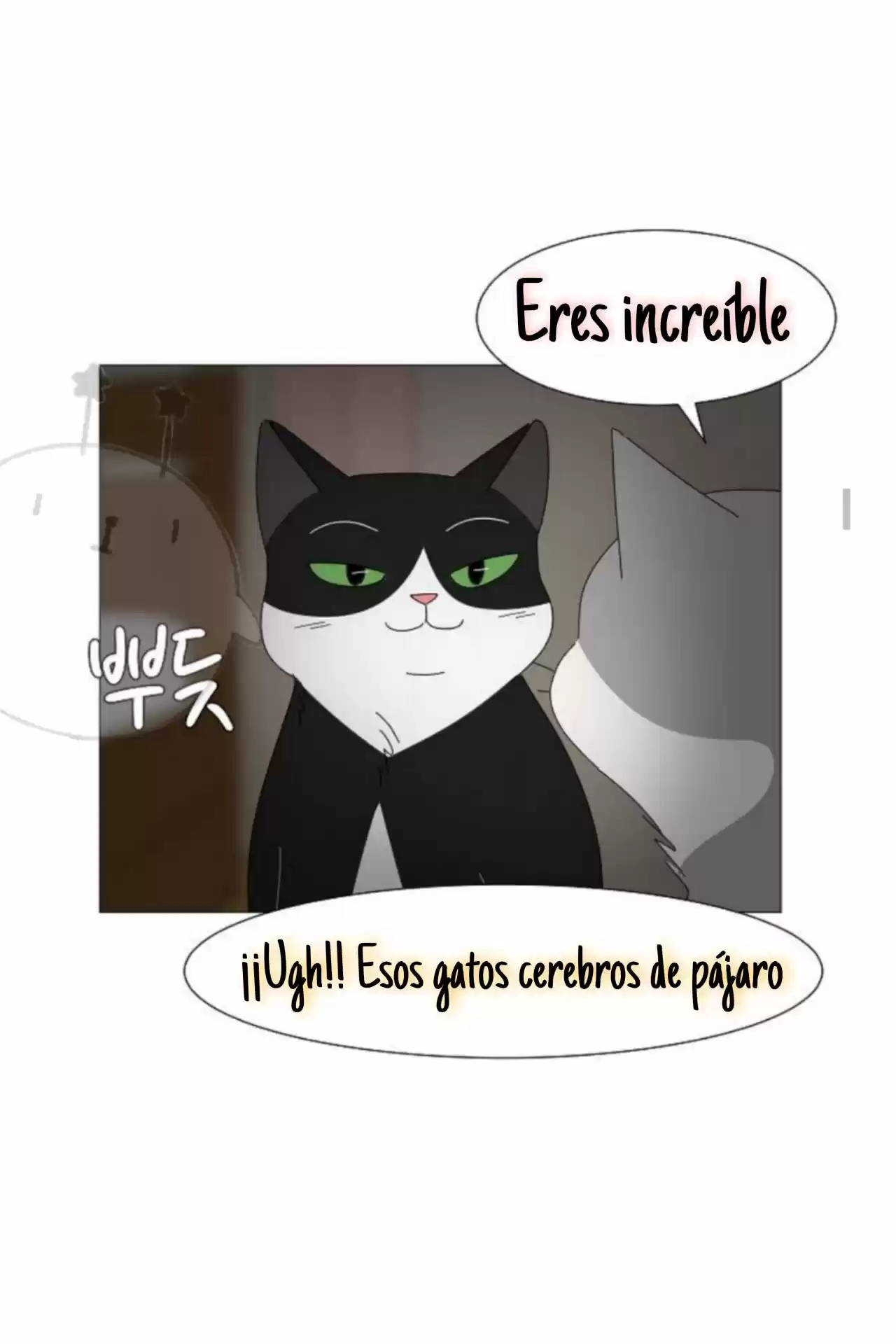Gatos Del Cielo - Capítulo 2 - Página 24 - LectorTMOo