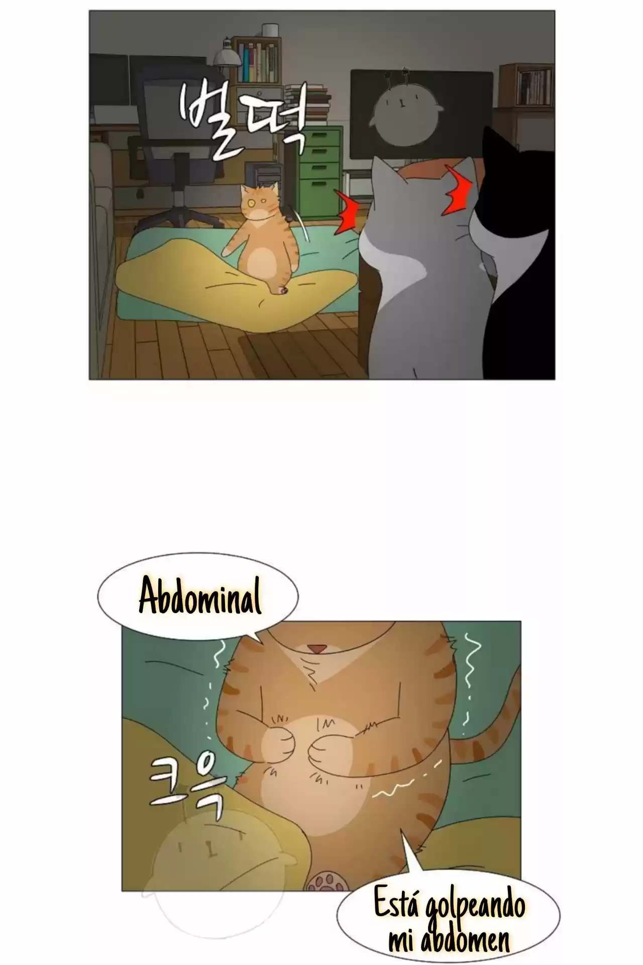 Gatos Del Cielo - Capítulo 2 - Página 27 - LectorTMOo