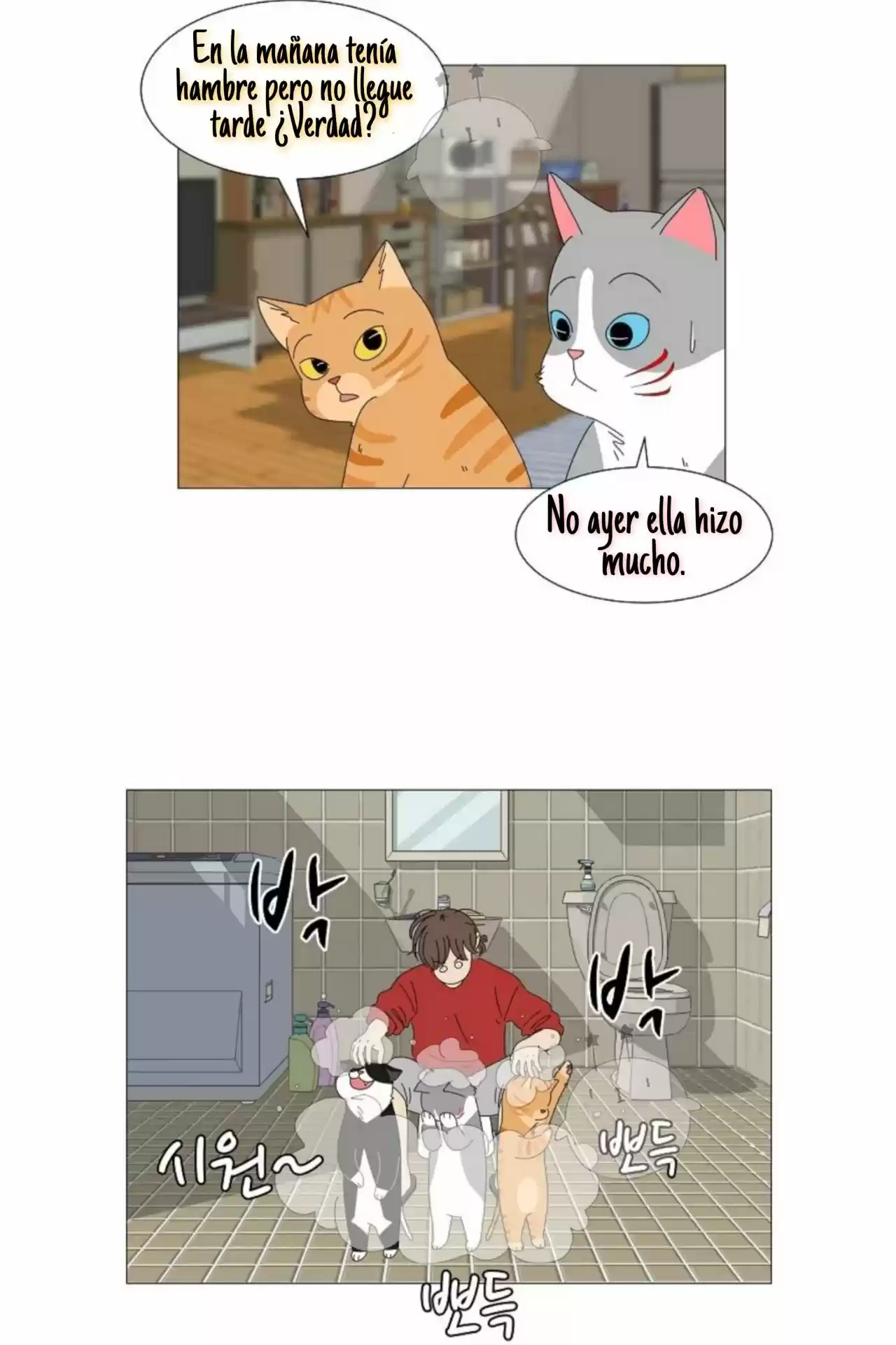 Gatos Del Cielo - Capítulo 2 - Página 37 - LectorTMOo
