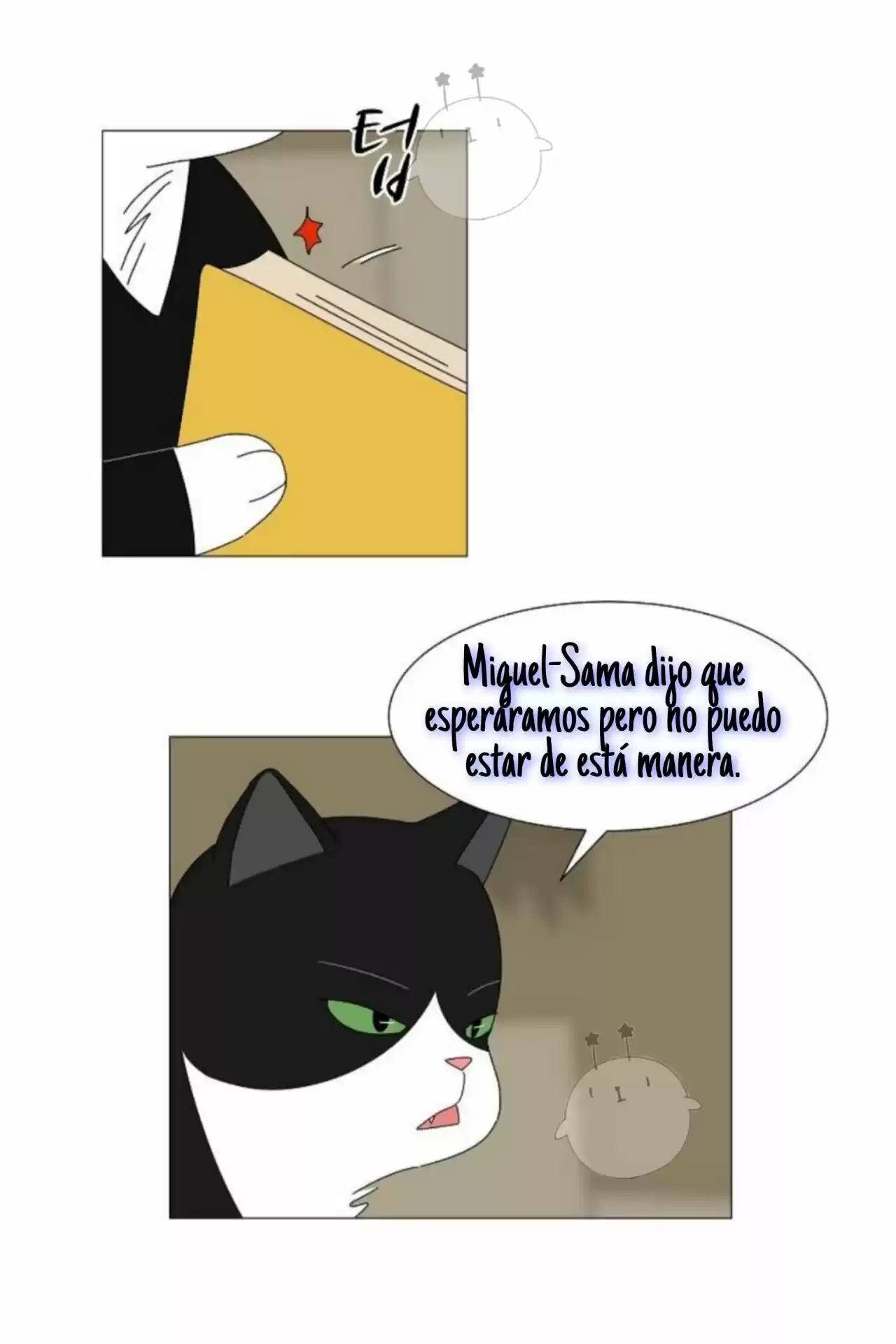 Gatos Del Cielo - Capítulo 2 - Página 39 - LectorTMOo