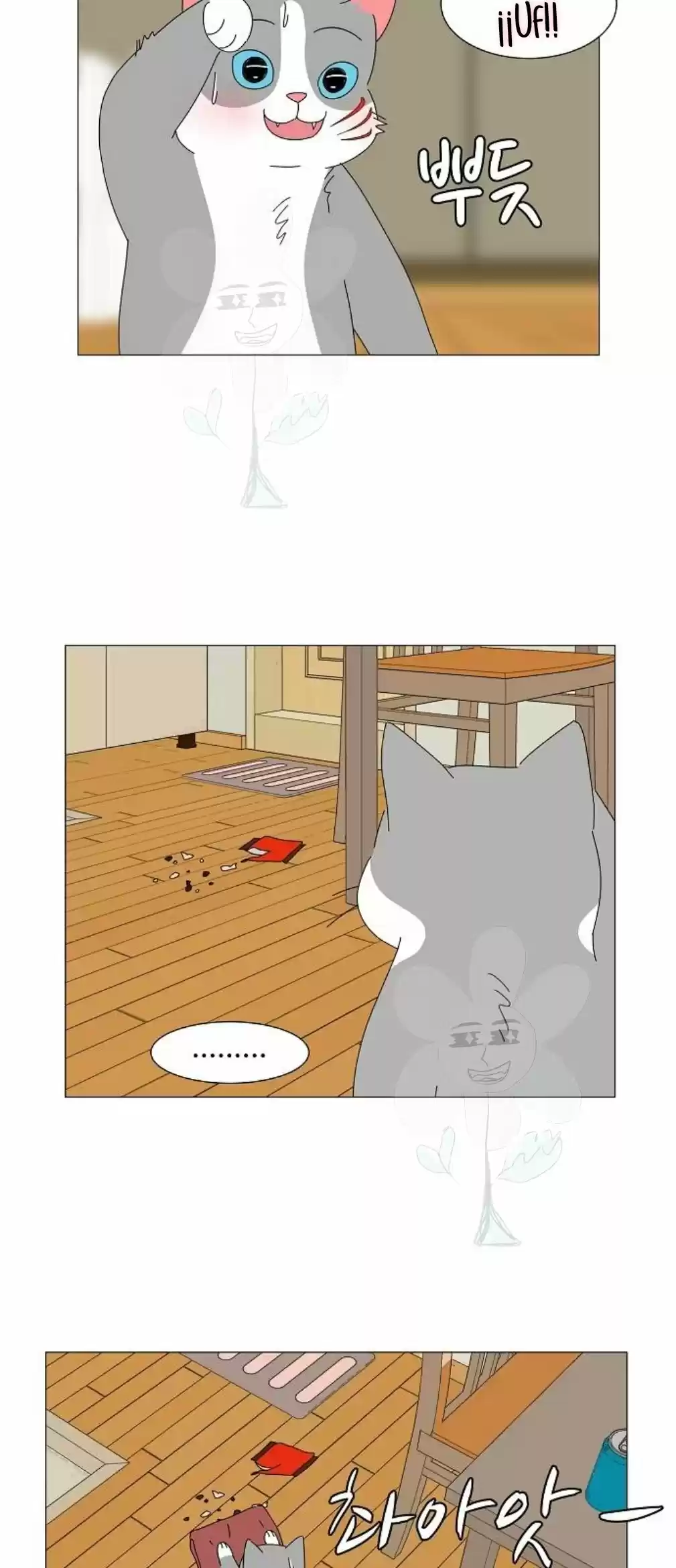Gatos Del Cielo - Capítulo 3 - Página 17 - LectorTMOo