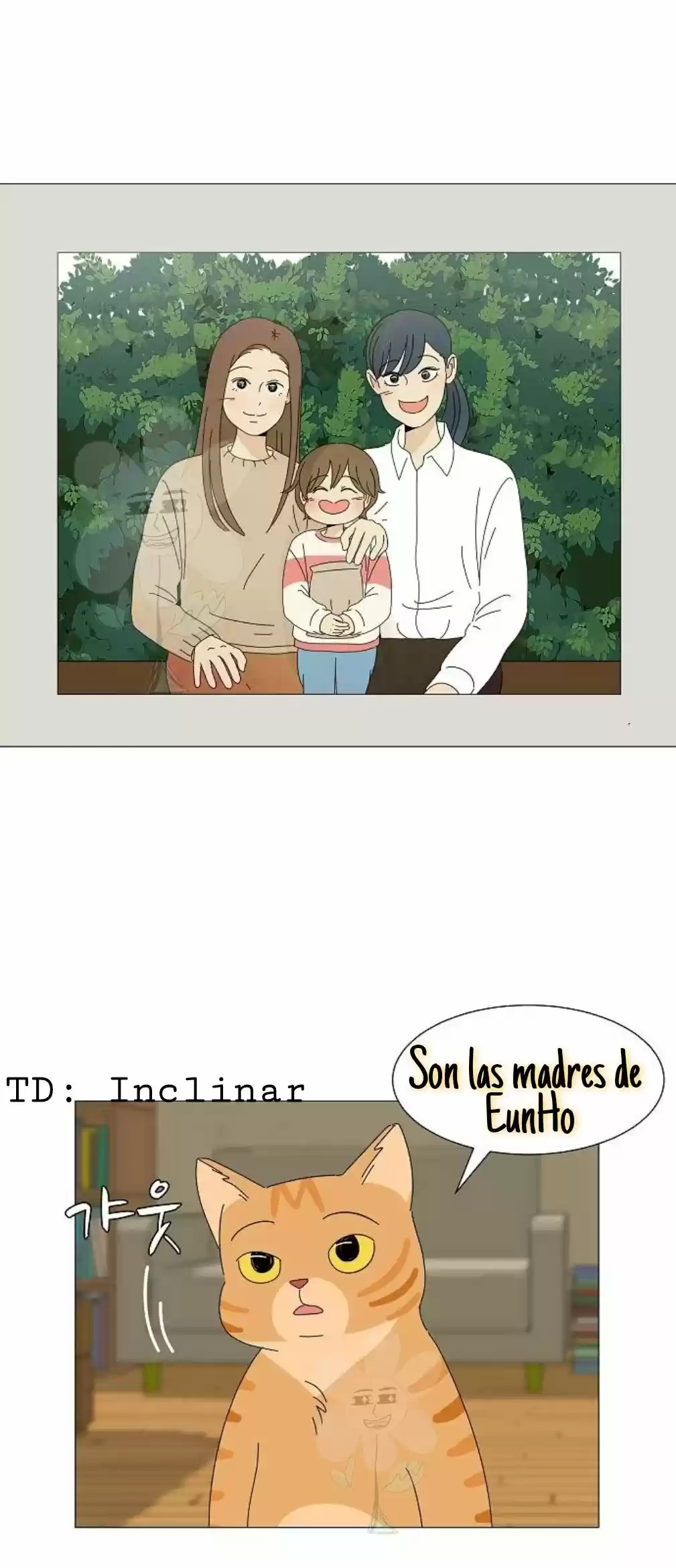 Gatos Del Cielo - Capítulo 3 - Página 19 - LectorTMOo
