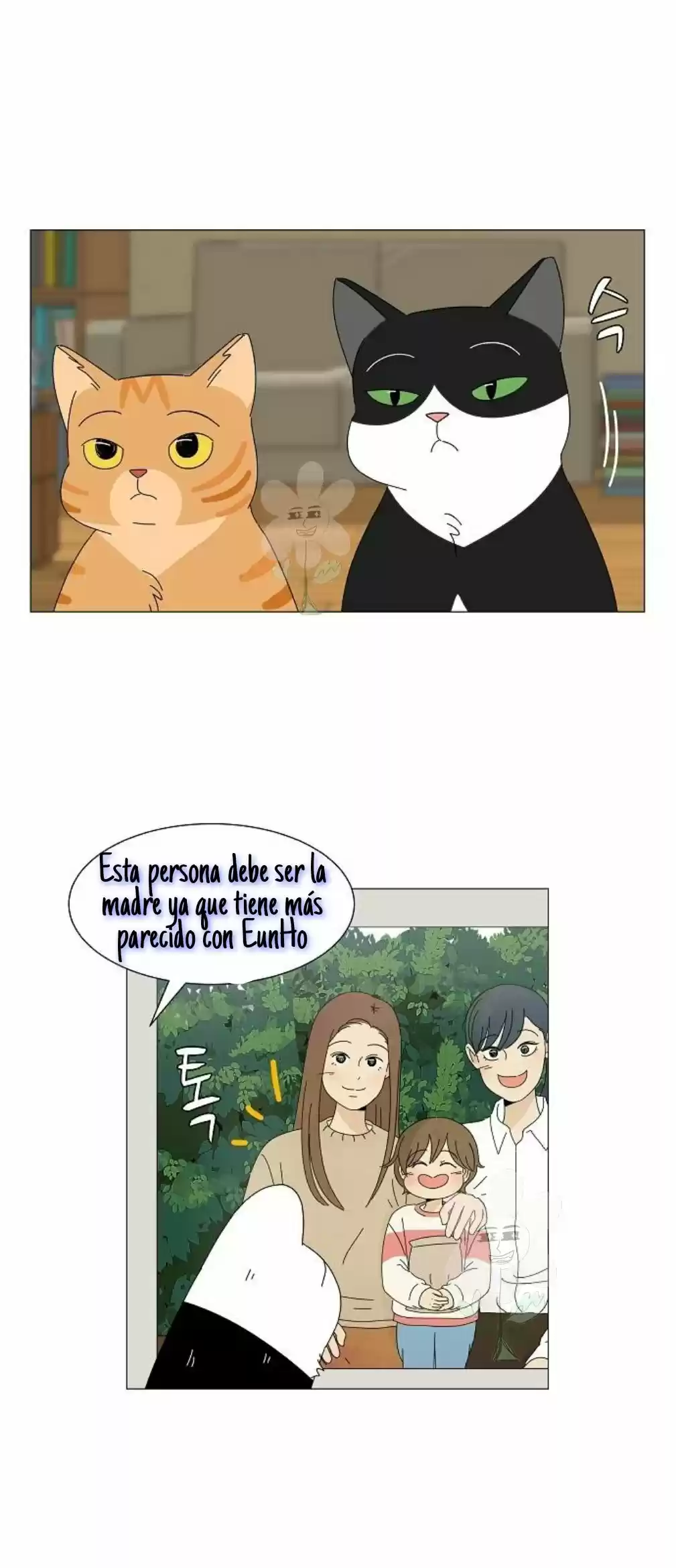 Gatos Del Cielo - Capítulo 3 - Página 20 - LectorTMOo