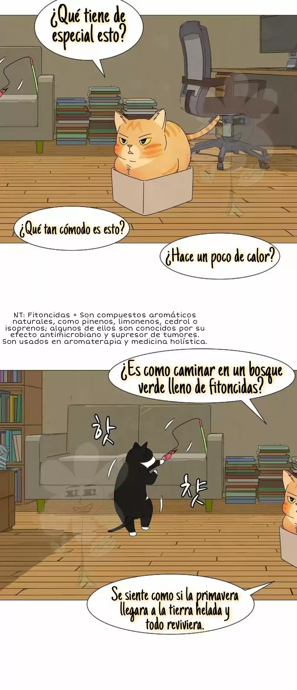 Gatos Del Cielo - Capítulo 3 - Página 39 - LectorTMOo