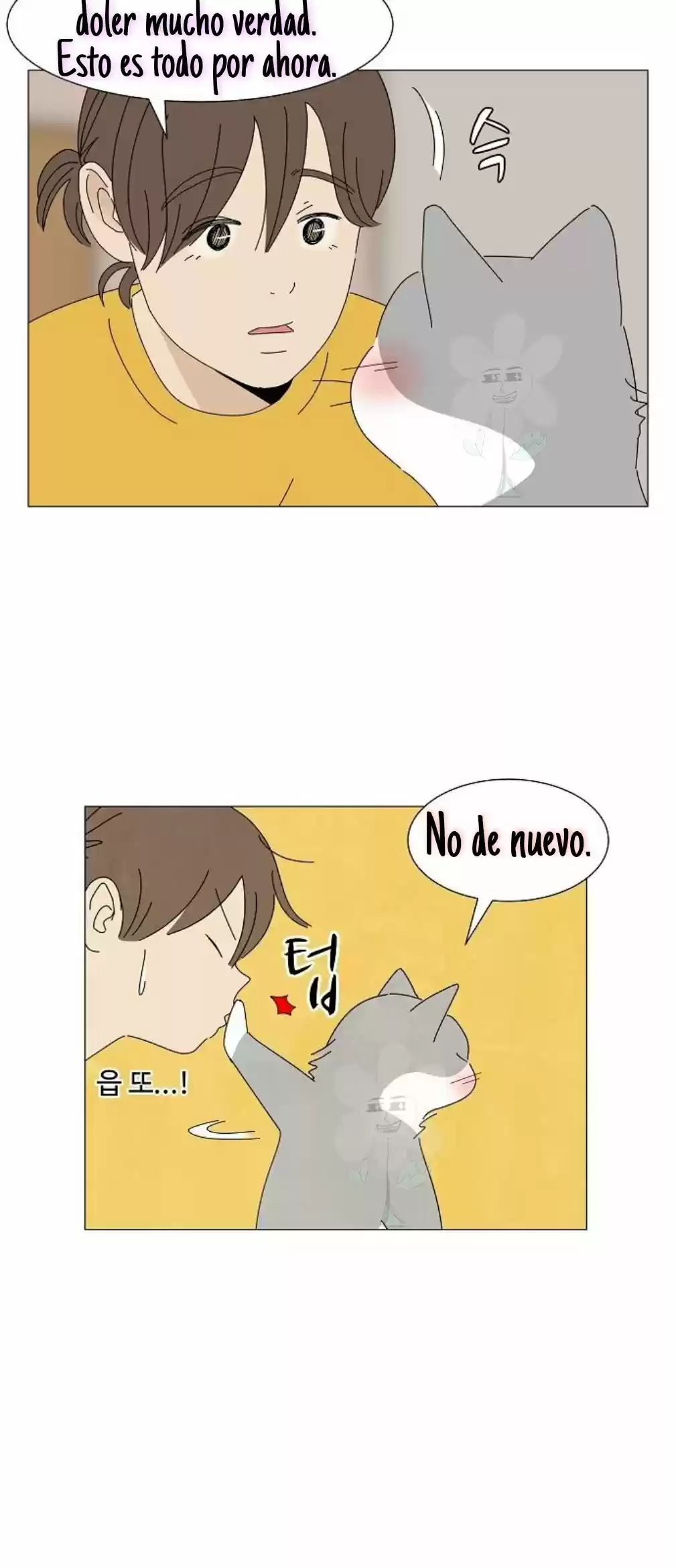Gatos Del Cielo - Capítulo 3 - Página 41 - LectorTMOo