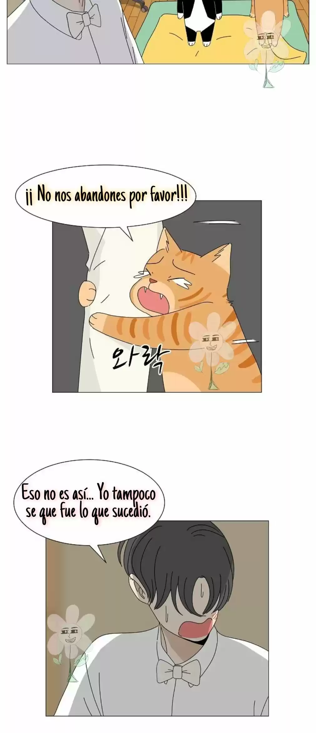 Gatos Del Cielo - Capítulo 4 - Página 5 - LectorTMOo
