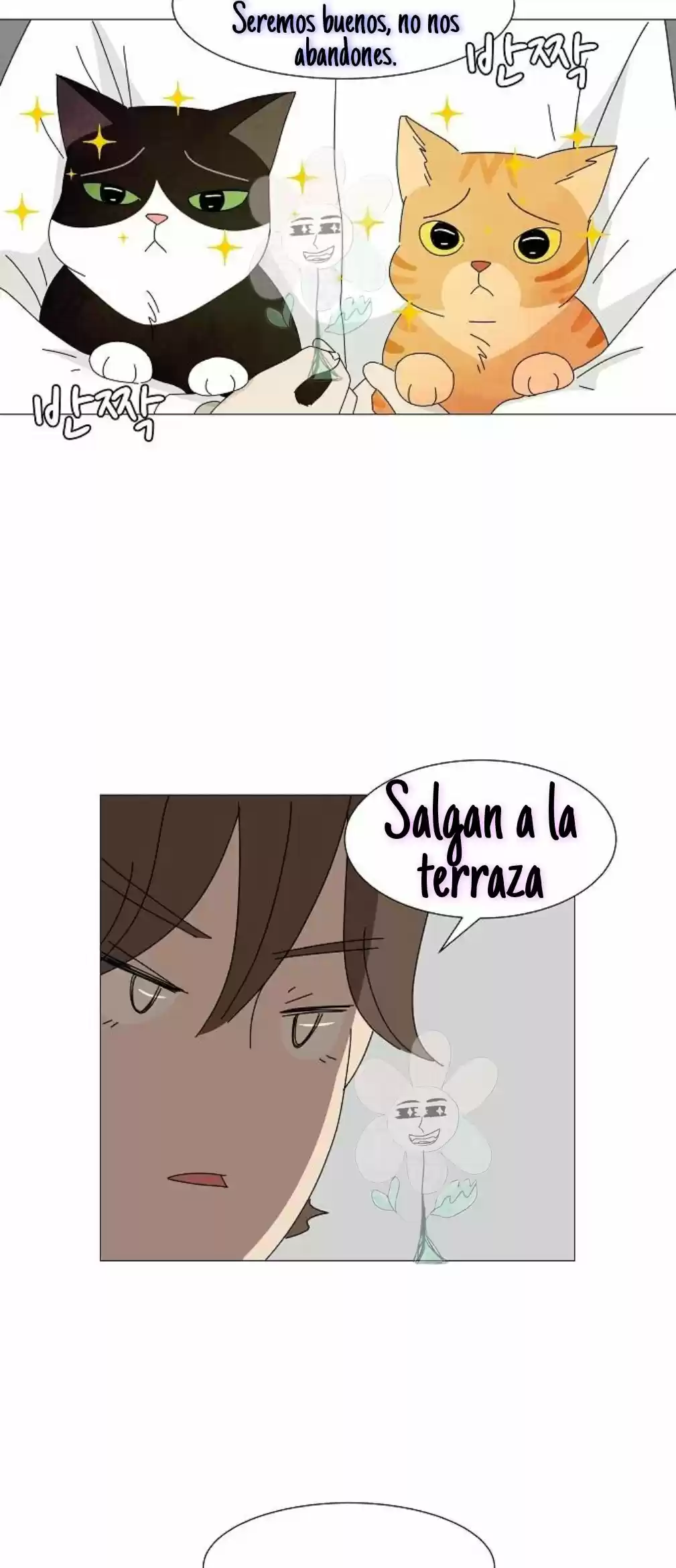 Gatos Del Cielo - Capítulo 4 - Página 11 - LectorTMOo