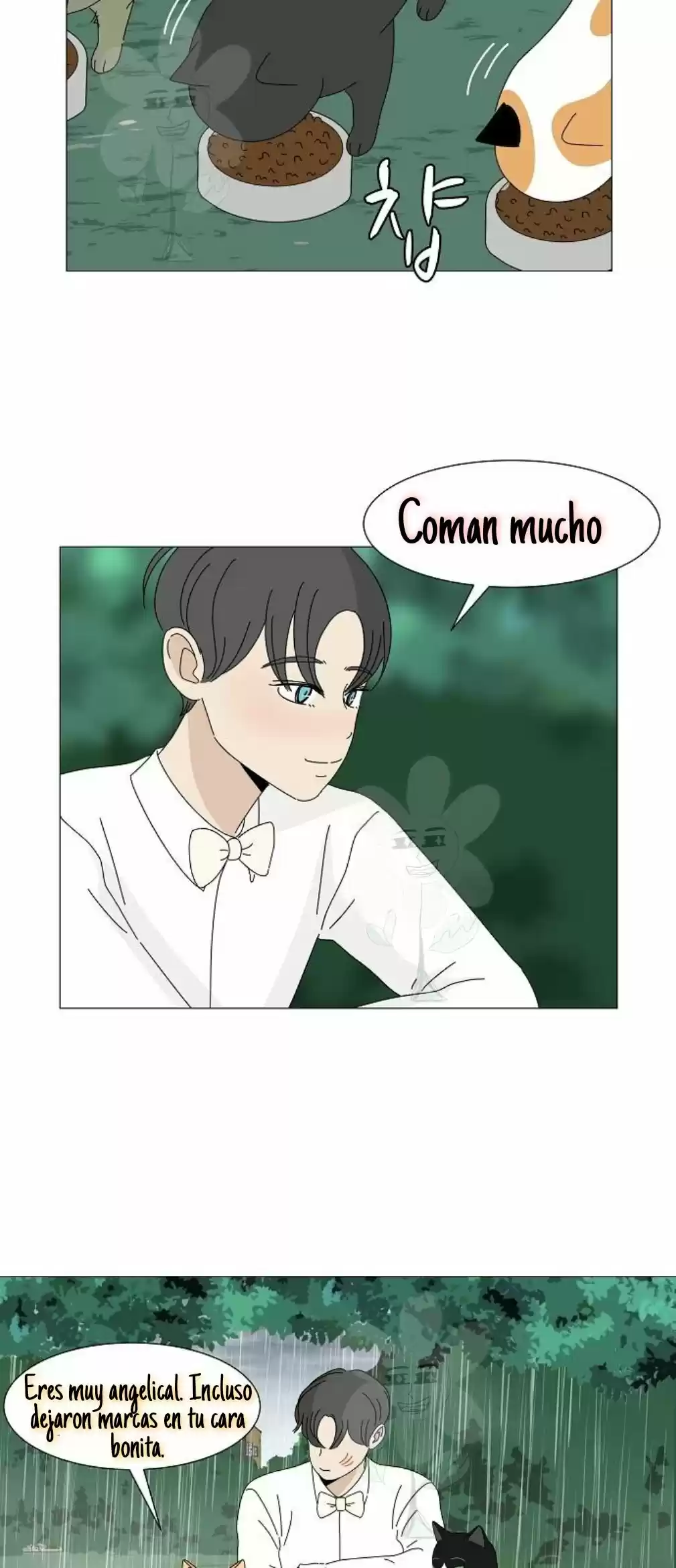 Gatos Del Cielo - Capítulo 4 - Página 21 - LectorTMOo