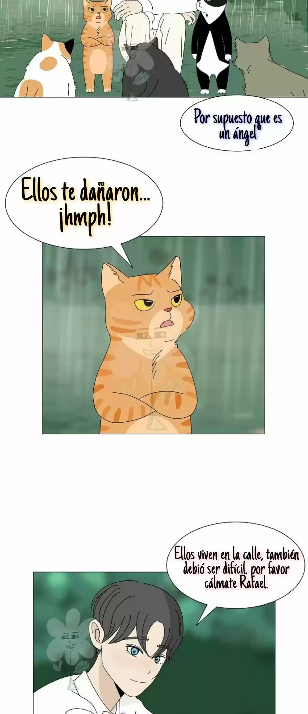 Gatos Del Cielo - Capítulo 4 - Página 22 - LectorTMOo