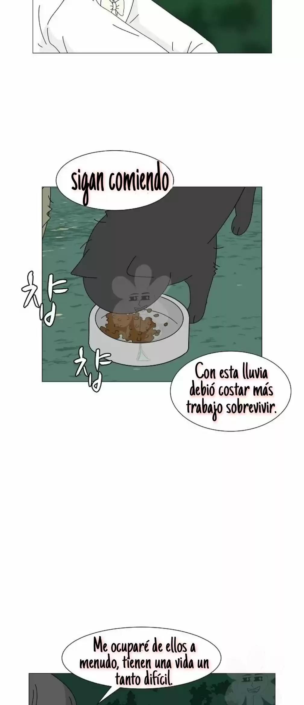 Gatos Del Cielo - Capítulo 4 - Página 23 - LectorTMOo